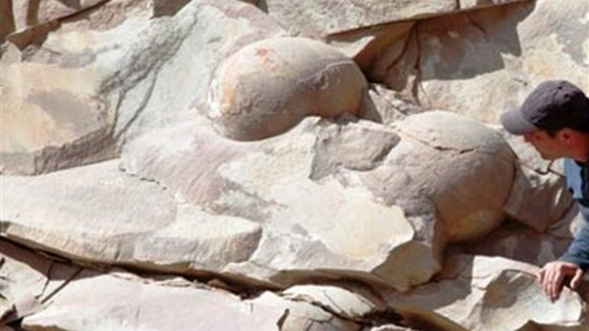 العثور على بيض ديناصورات في الشيشان