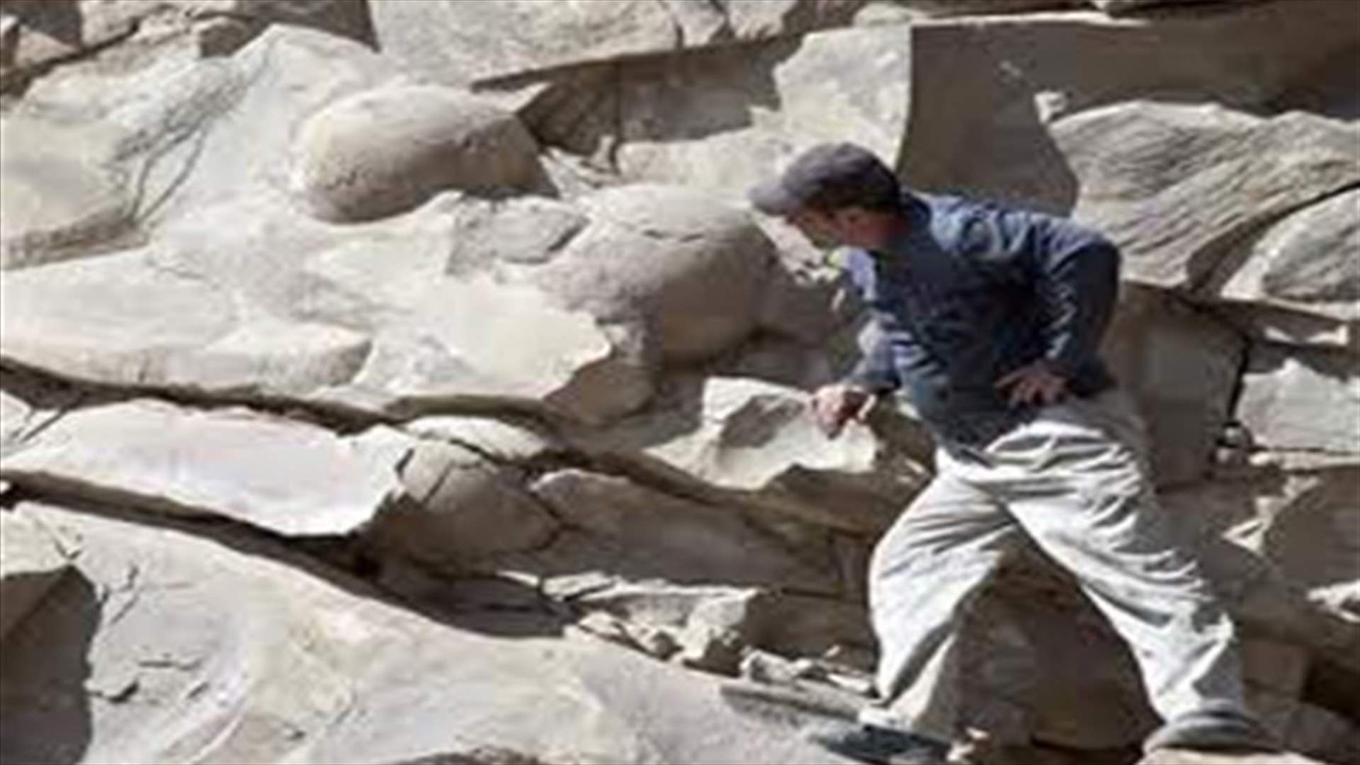 Dinosaur eggs said found in Russia's Chechnya   