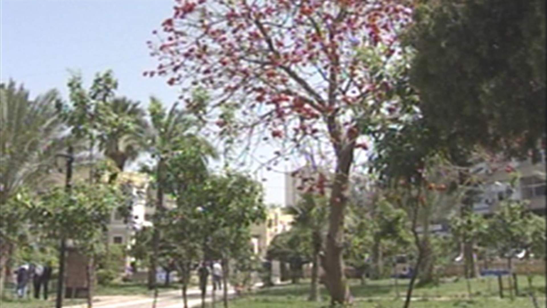 حديقة عامة ومساحة خضراء في وسط طرابلس