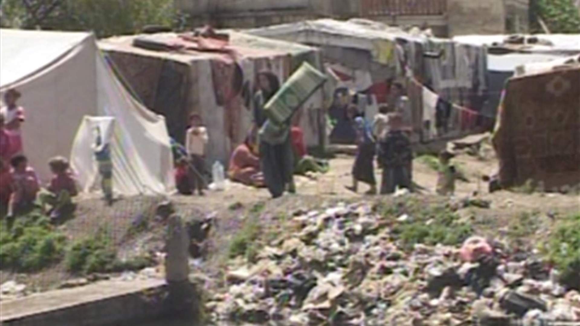 Bedouins in Lebanon: their reality and daily life 