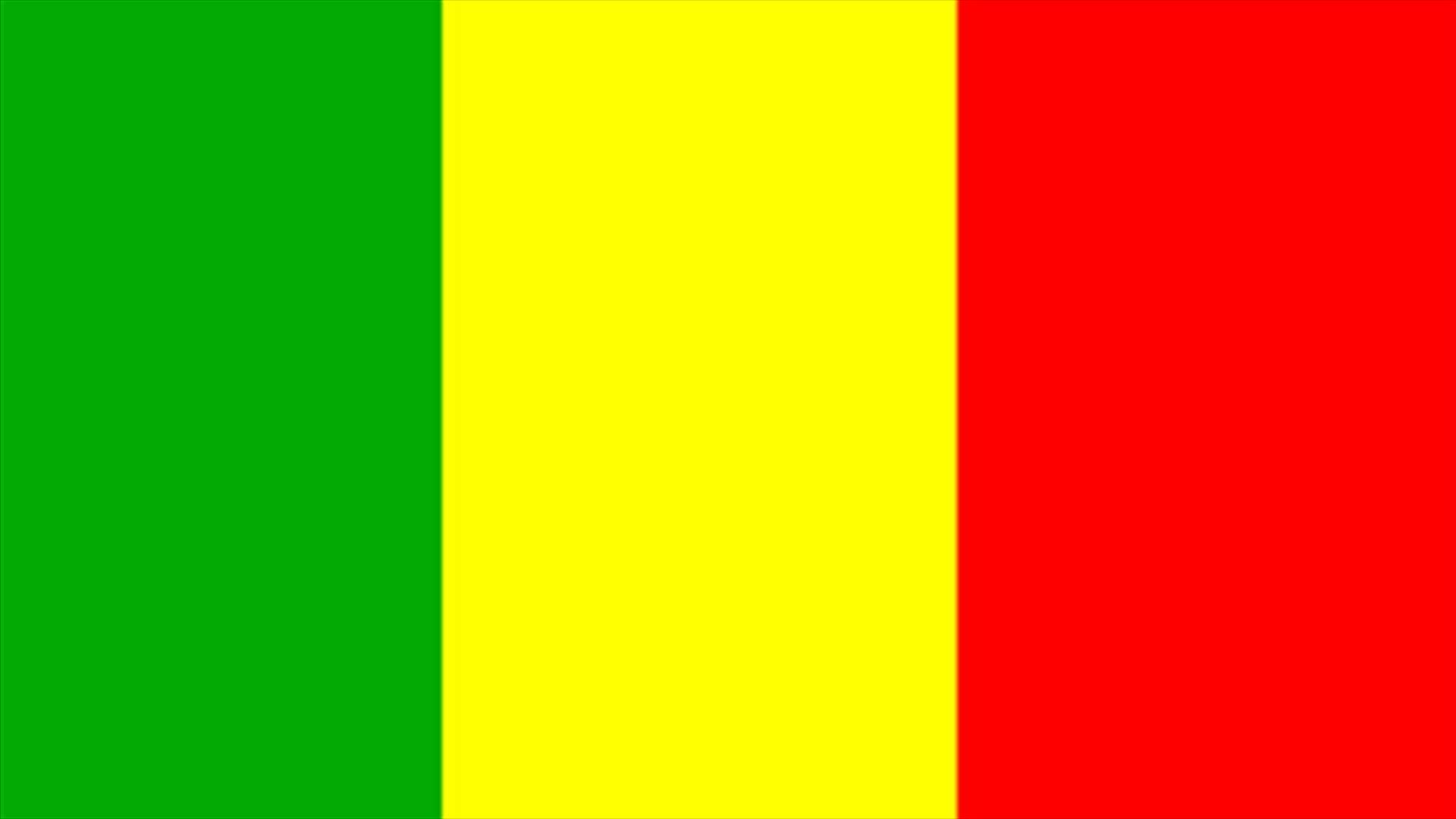 Mali announces new government after coup           