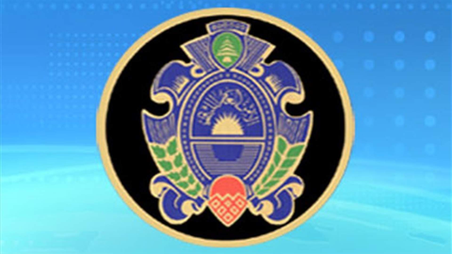 Fake visa gang arrested 