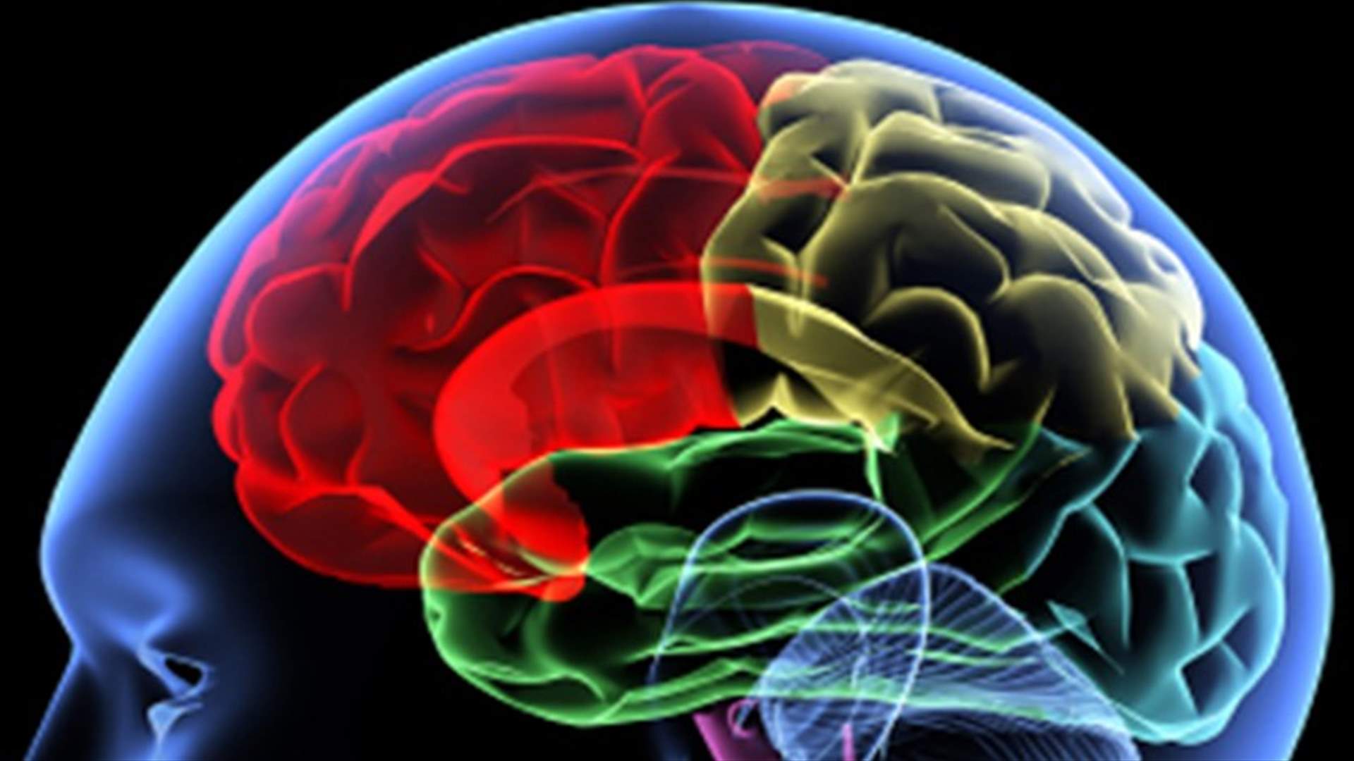 Watching porn disrupts parts of the brain 