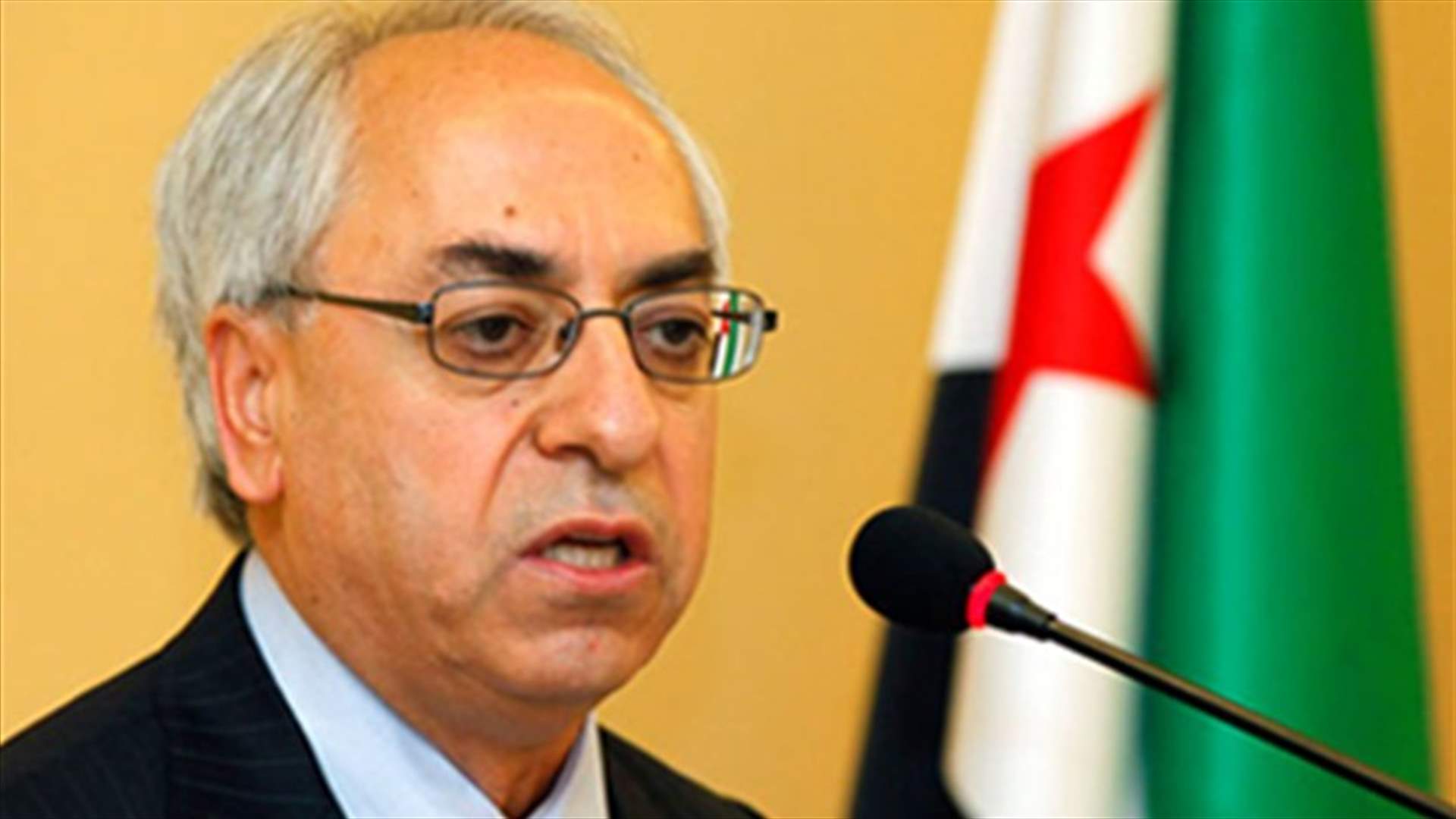 سيدا:الثورة مستمرة ..ونسعى لتسهيل الافراج عن المخطوفين
