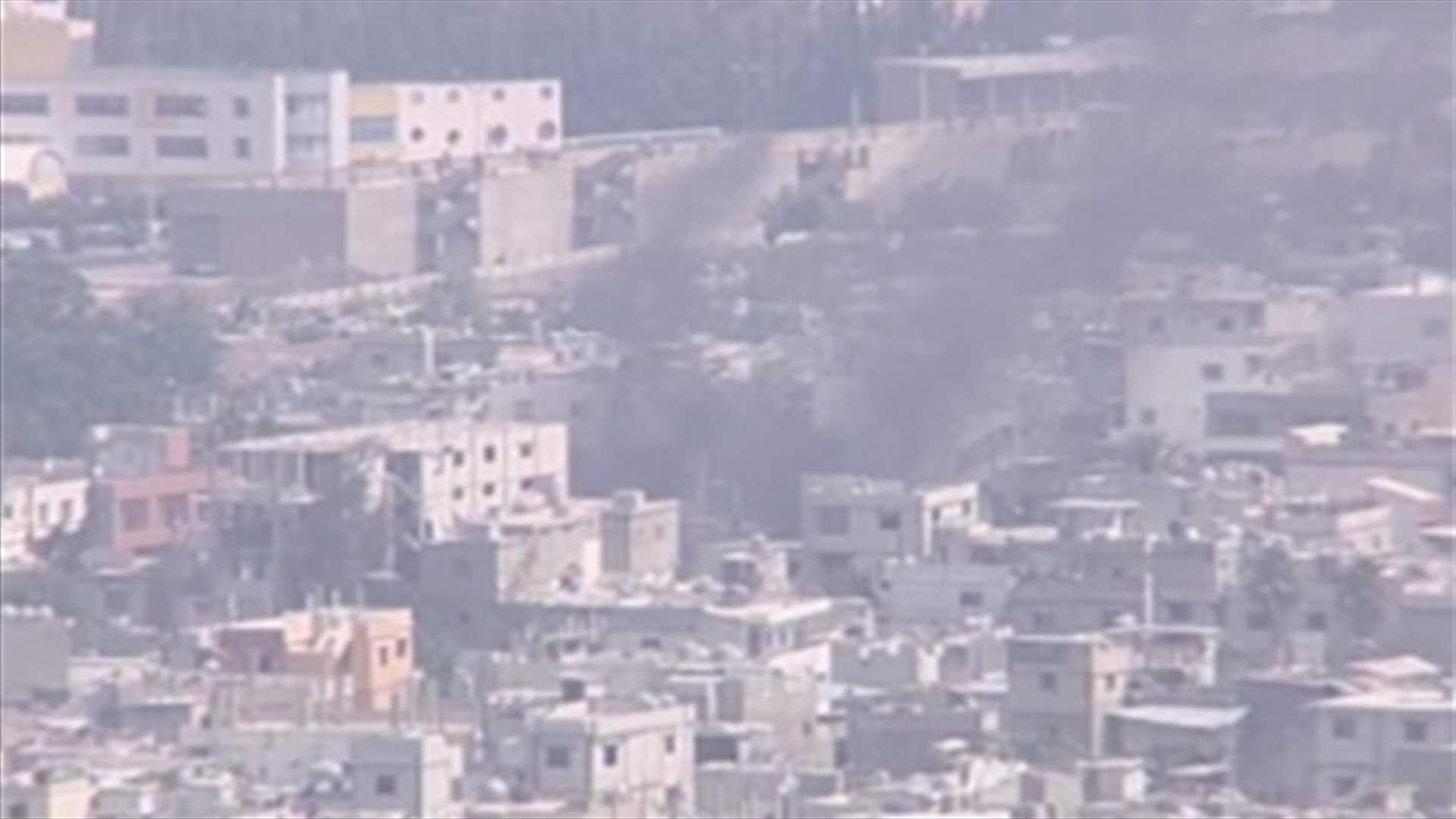 Public strike, burning tires in Ain al-Hilweh camp