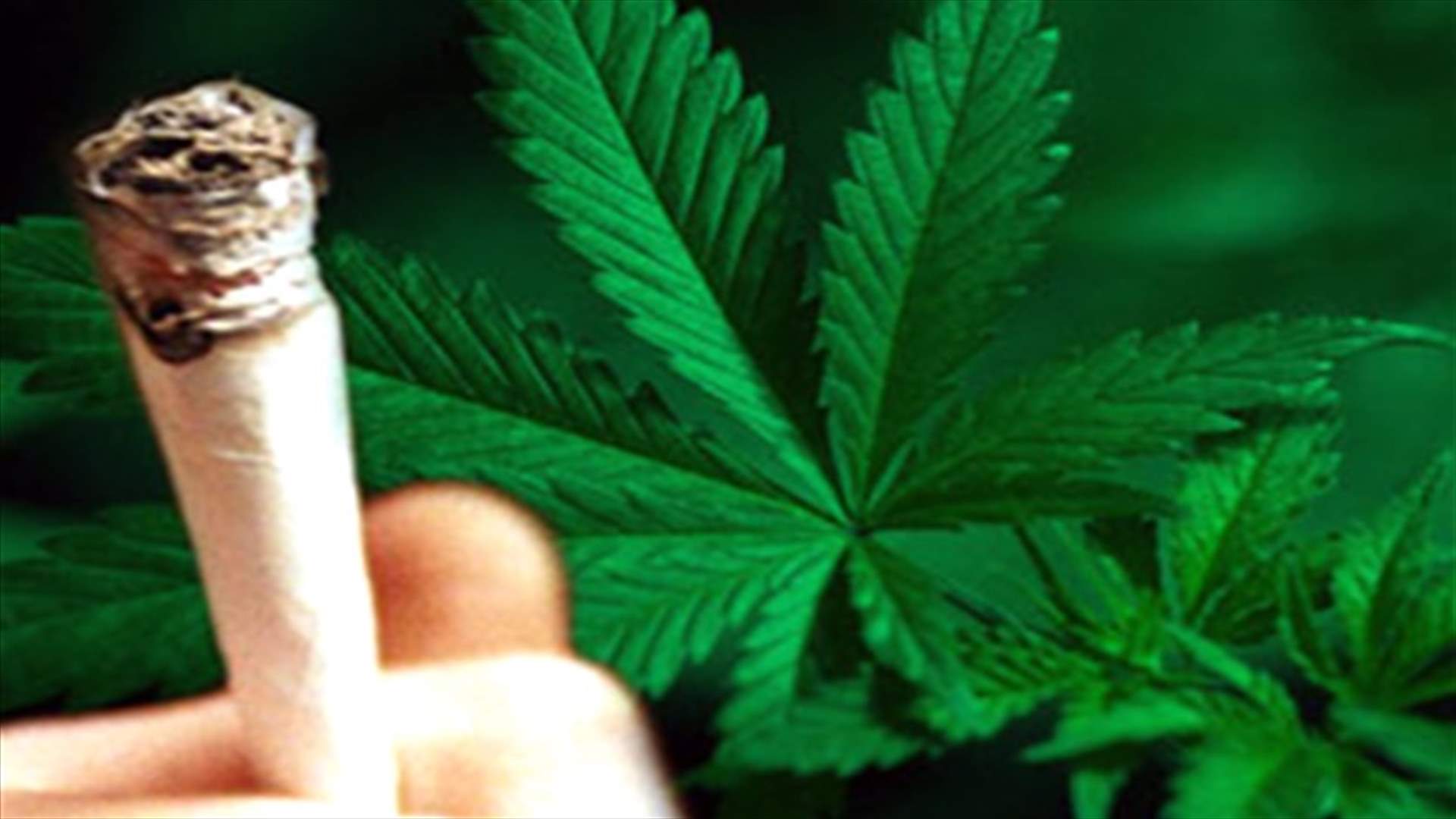 What a drag, Israeli firm grows "highless" marijuana