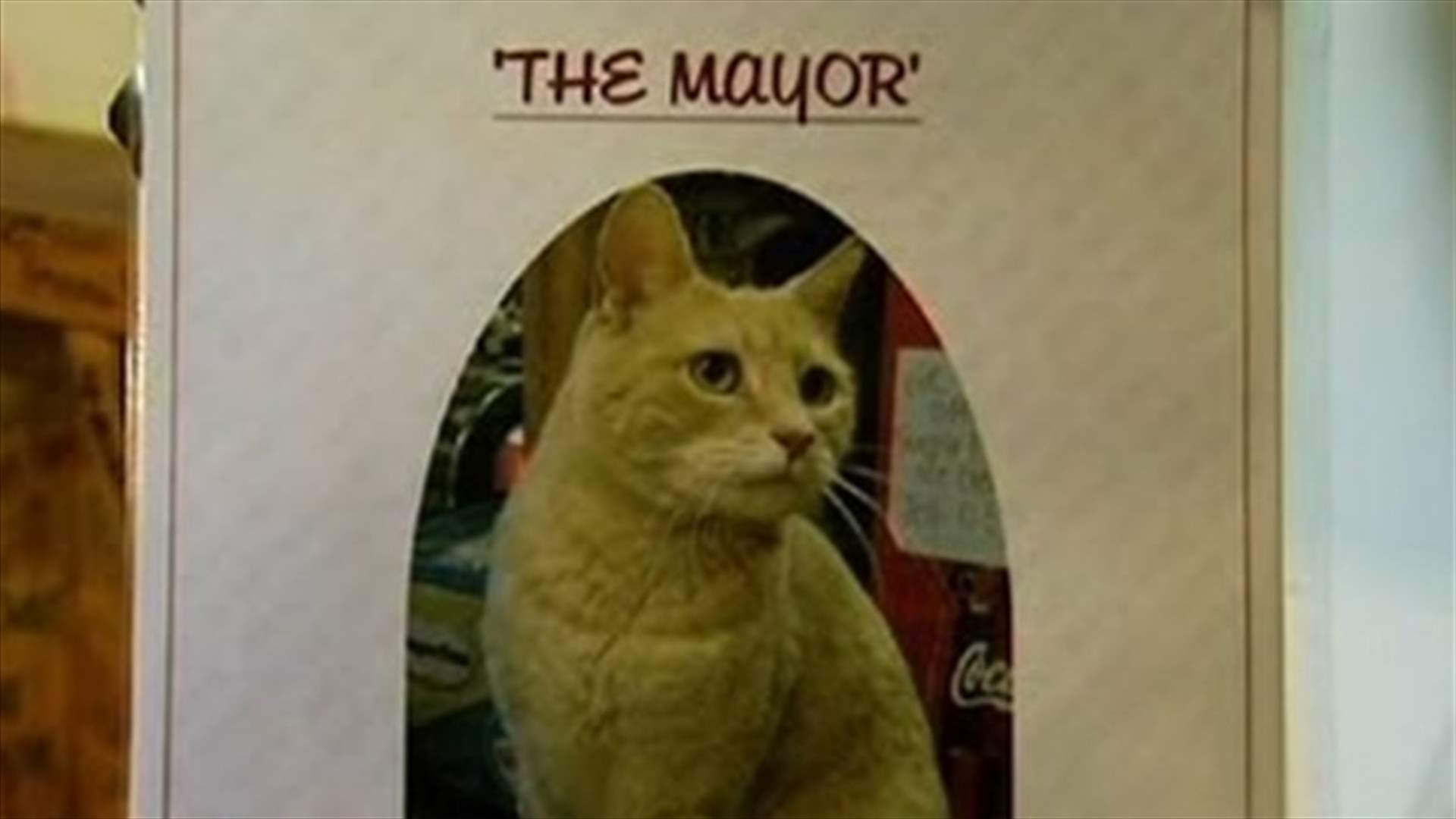 Alaska’s mayor cat, 15 years and still going strong 