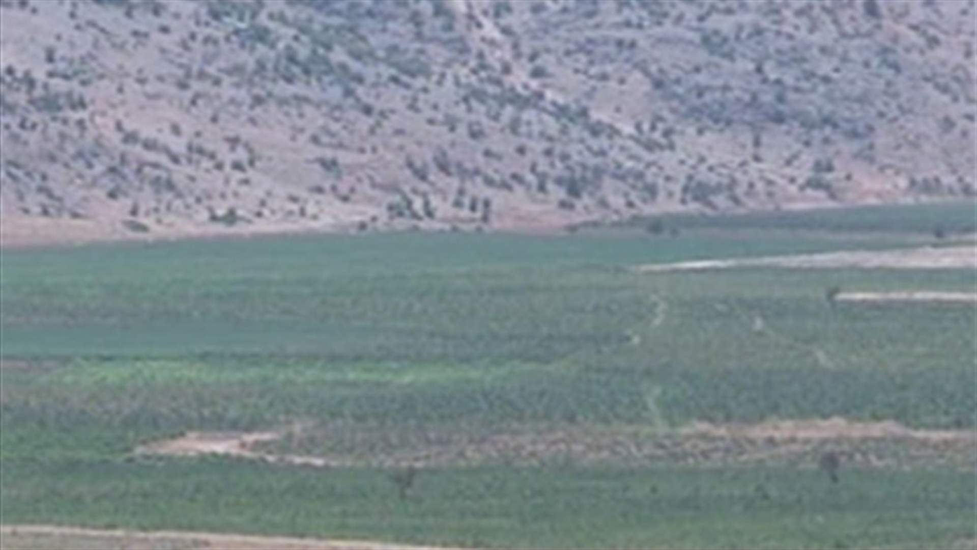 Calm prevails in Yammuneh while residents await practical measures