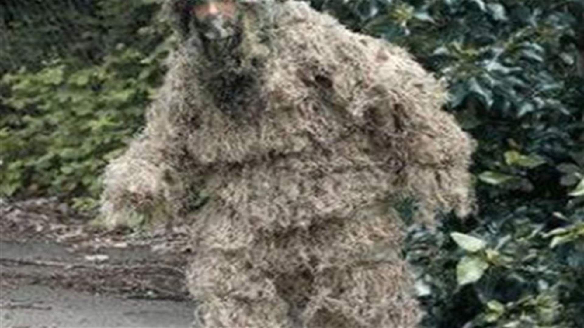 Man apparently attempting Bigfoot hoax killed on Montana highway