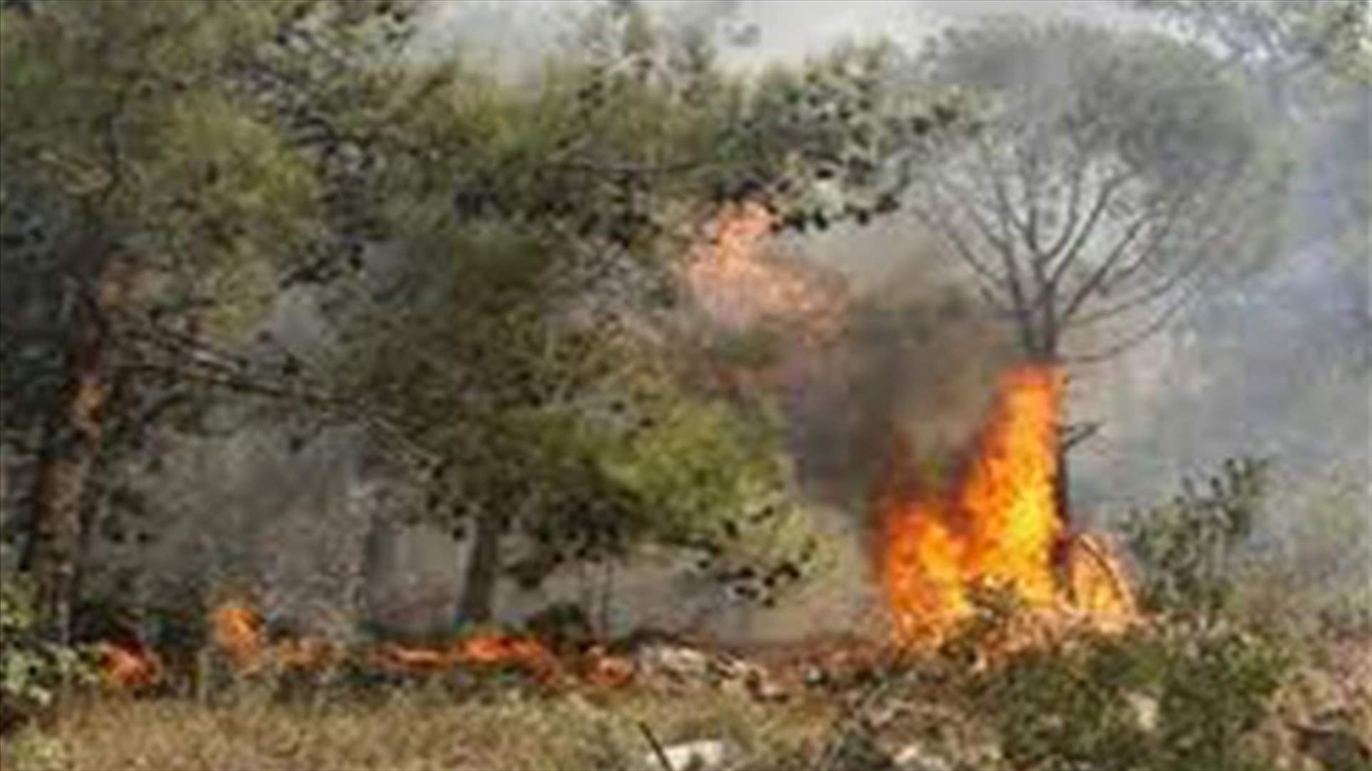 Fires rage in Ain Saadeh and Akkar 
