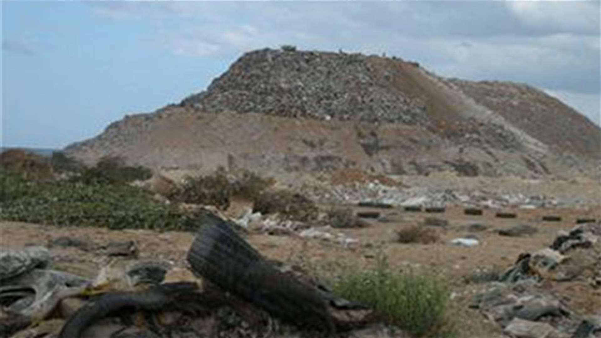 مكب صيدا : حديقة خضراء