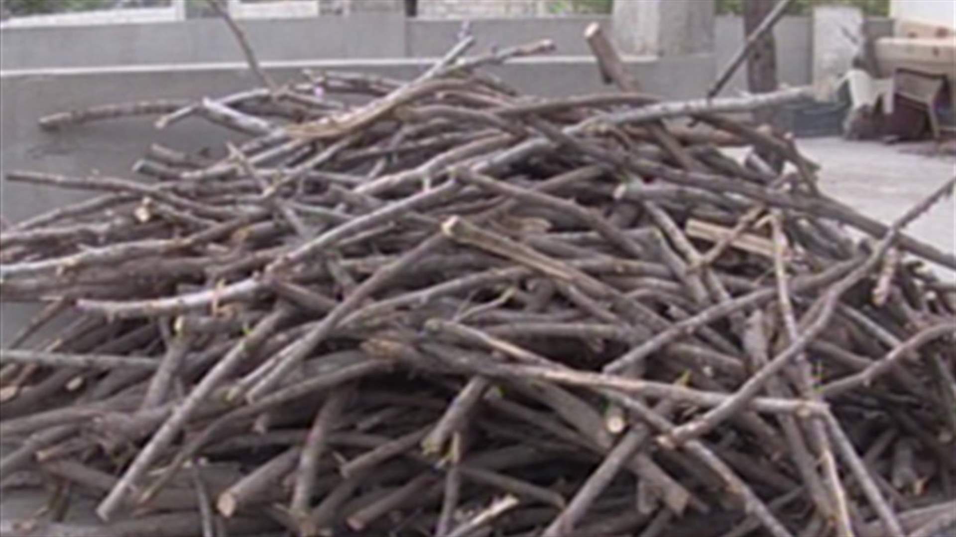 With winter approaching, firewood market booms     