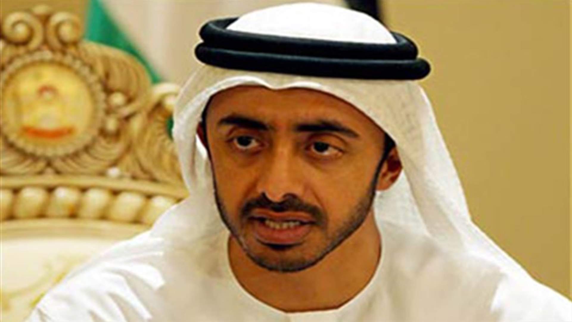 وزير الخارجية الاماراتي ينتقد الاخوان المسلمين