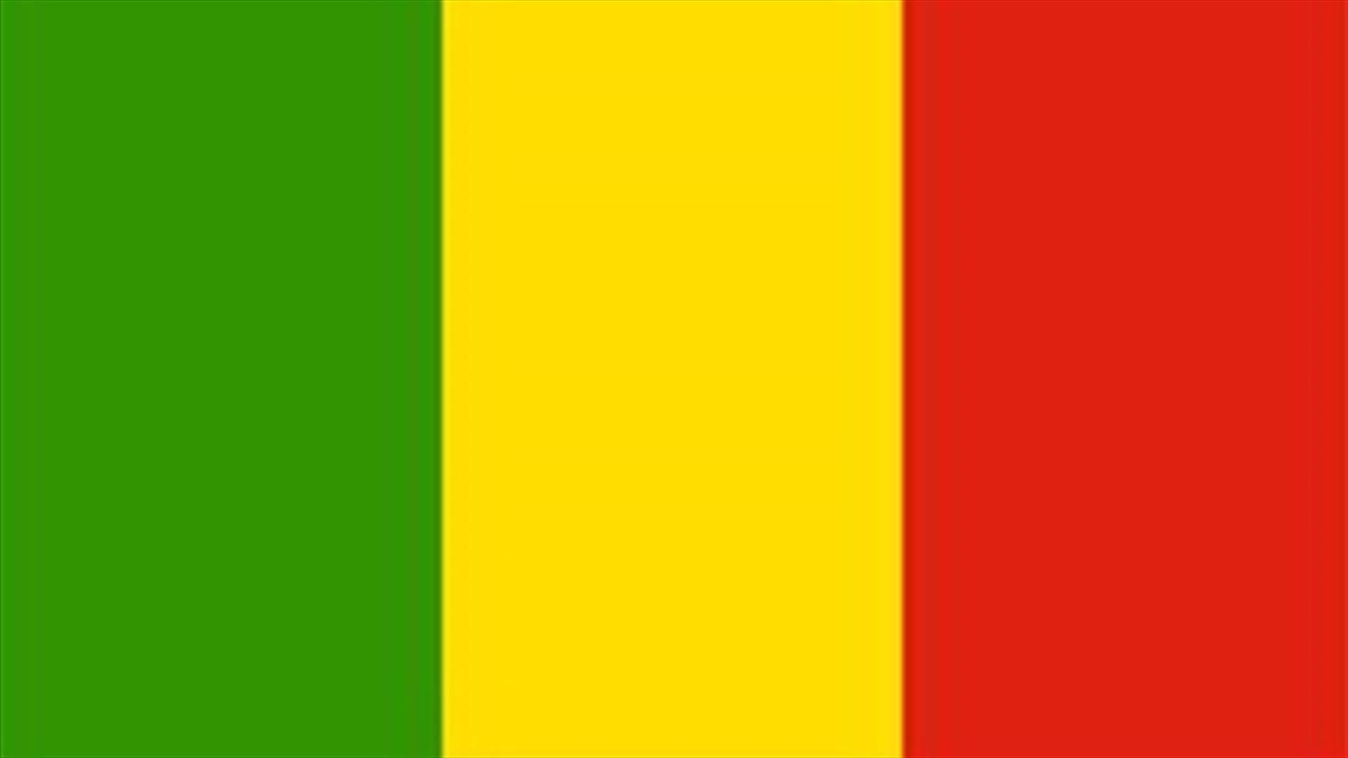 African Union reinstates Mali ahead of military action