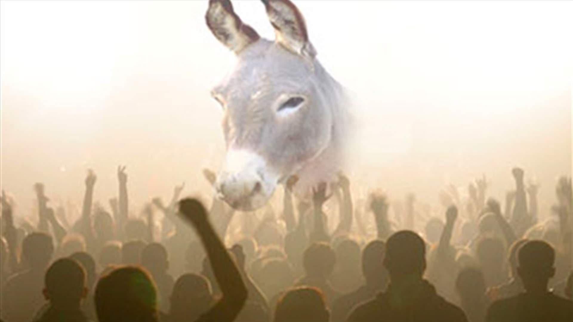 Donkey enters elections in Bulgaria