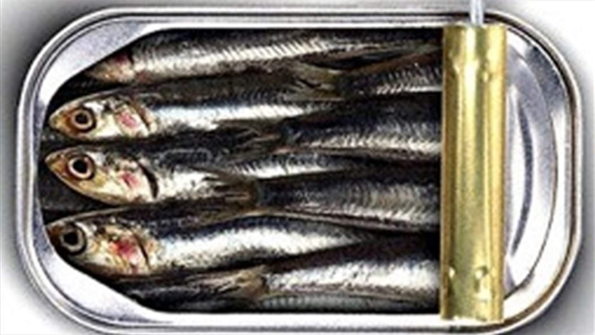 Zahle citizens get food poisoning from sardines 