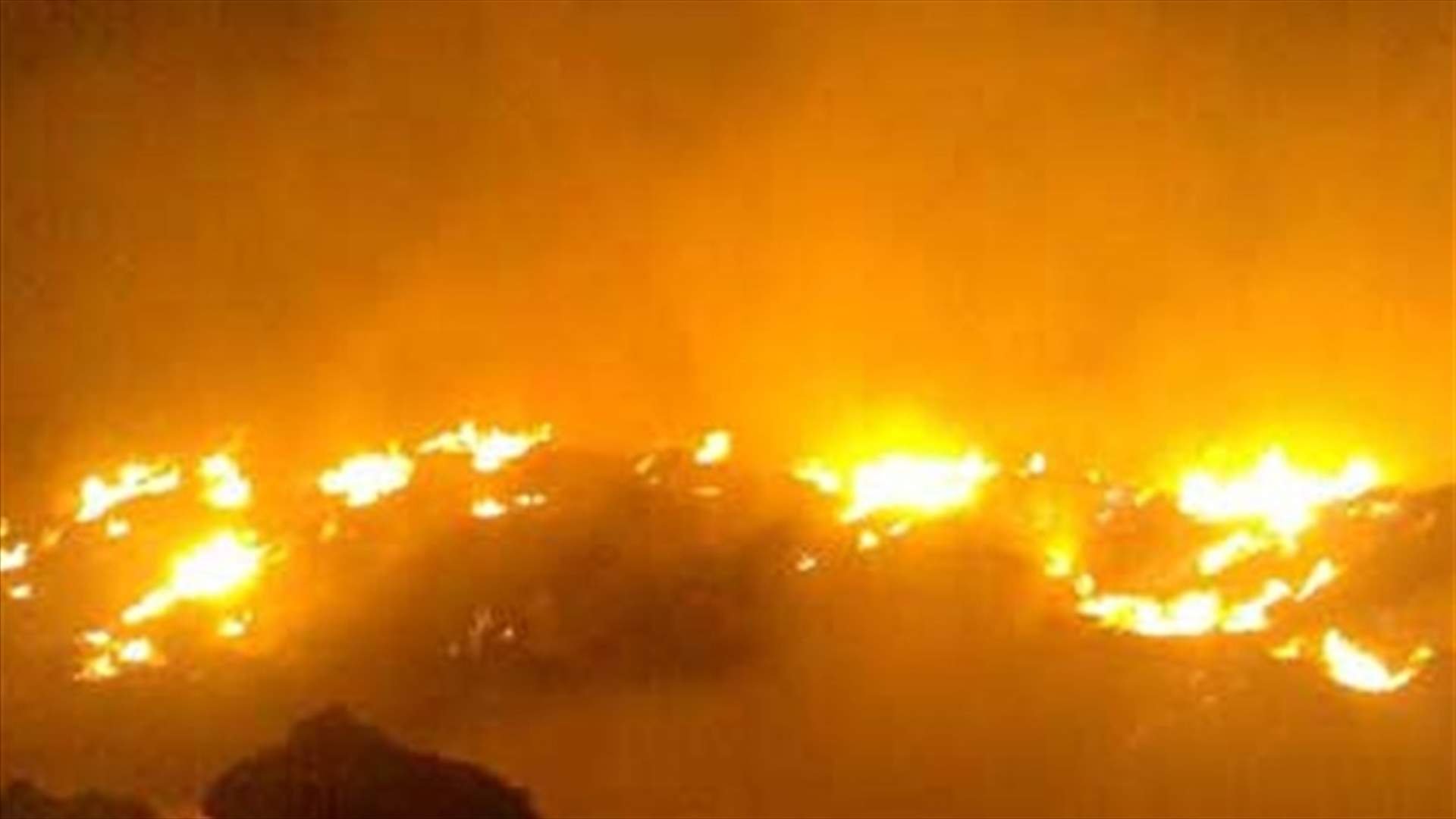 Fire engulfs forest in Kefraya 
