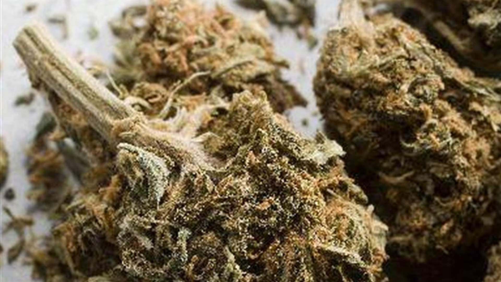 Smugglers use cannon to hurl marijuana over US-Mexico border