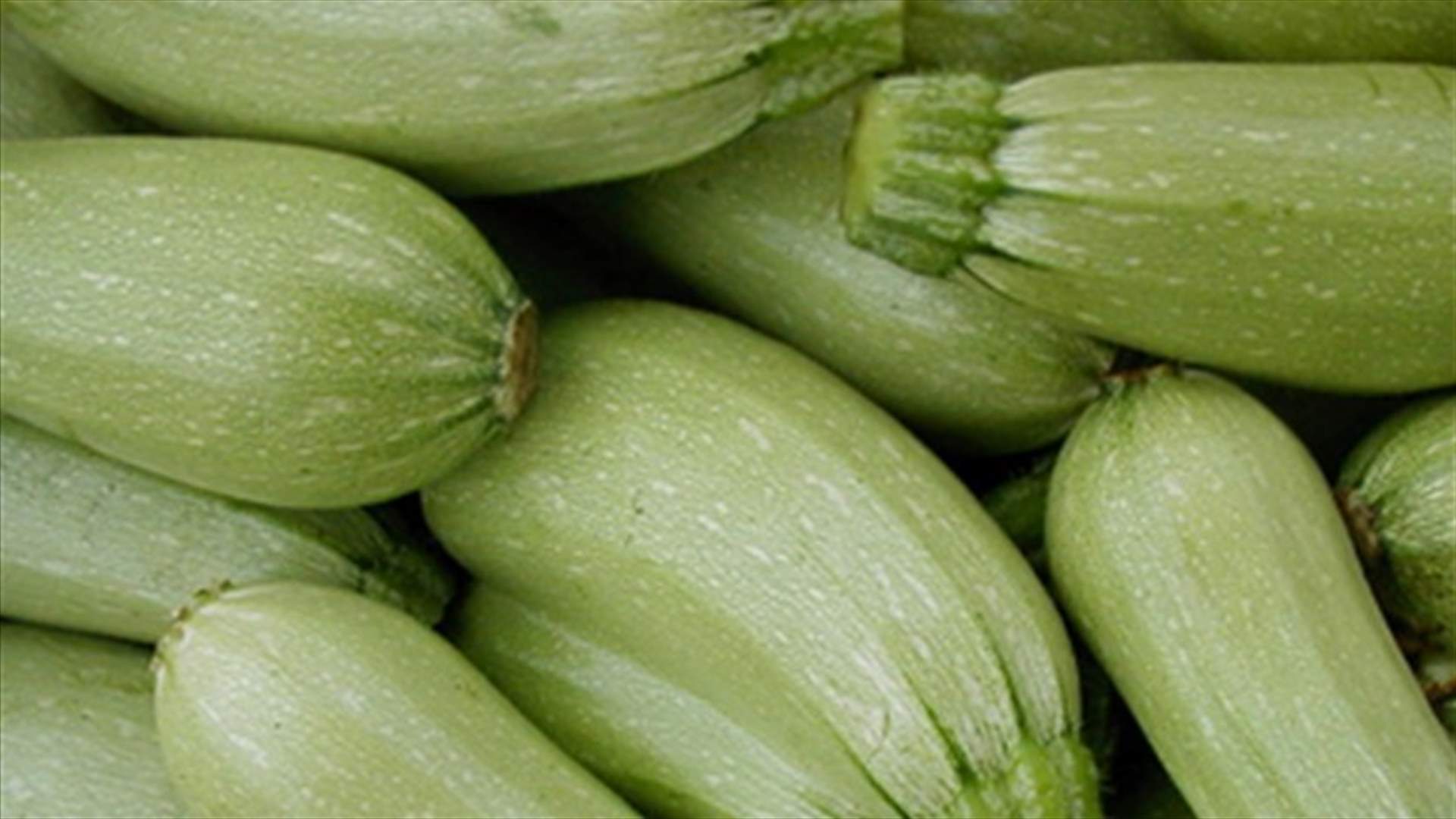 Agriculture Ministry authorizes vegetable import from Jordan