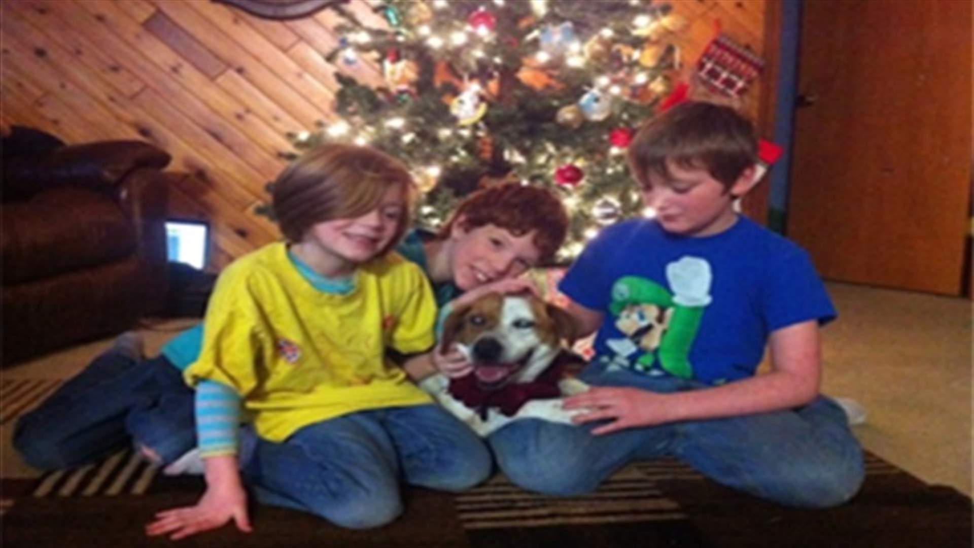 Lost, blind dog finds way back to Alaska owners