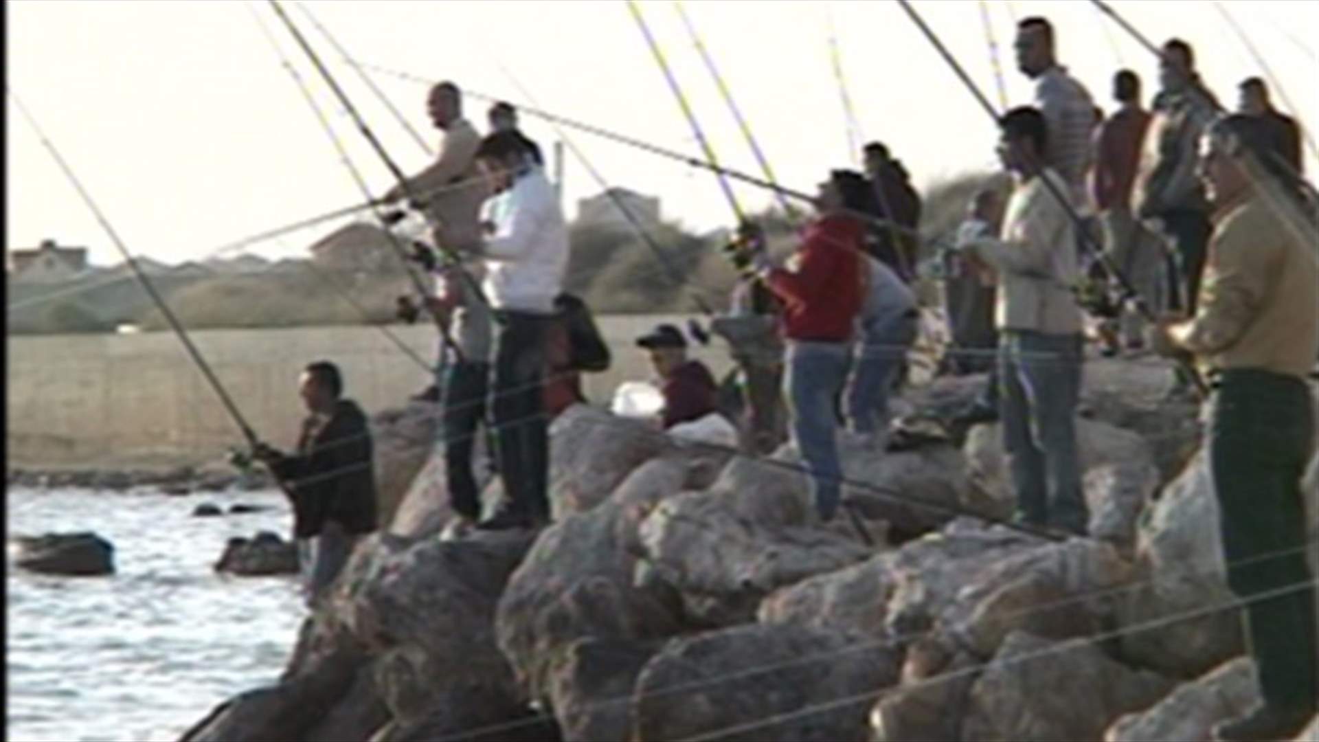 اسماك غريبة تجتاح شواطئ صور