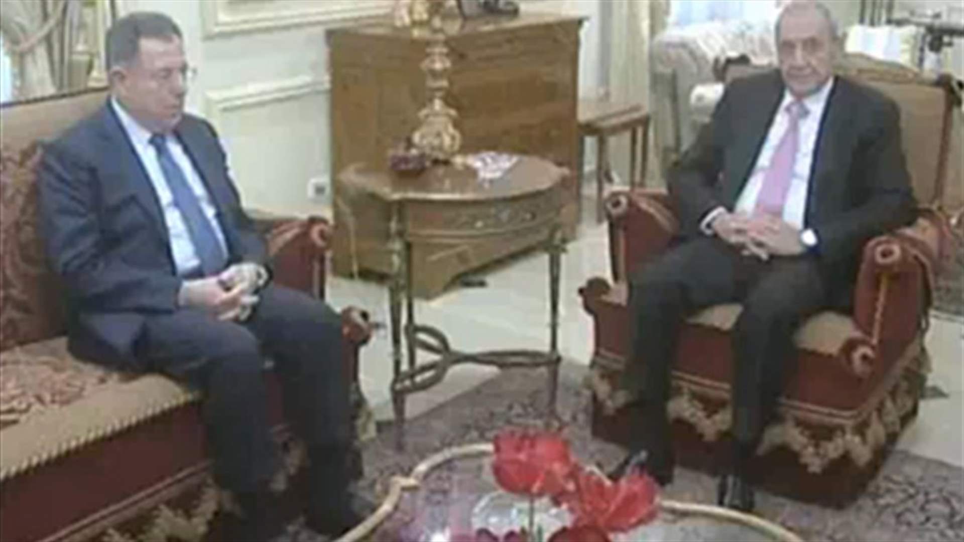 Berri discusses electoral law with Siniora in Ain El Tineh