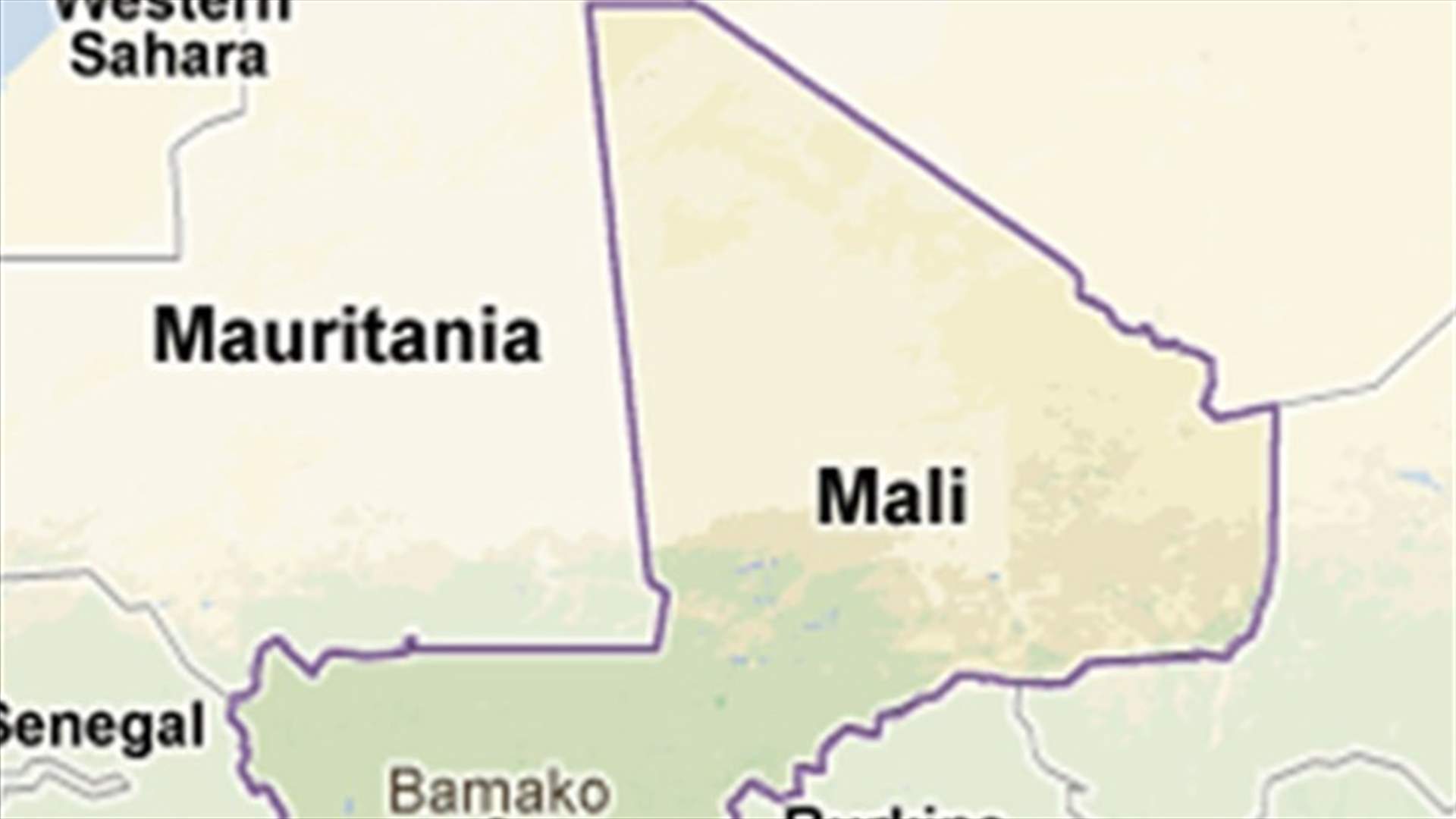 Mali interim president promises victory