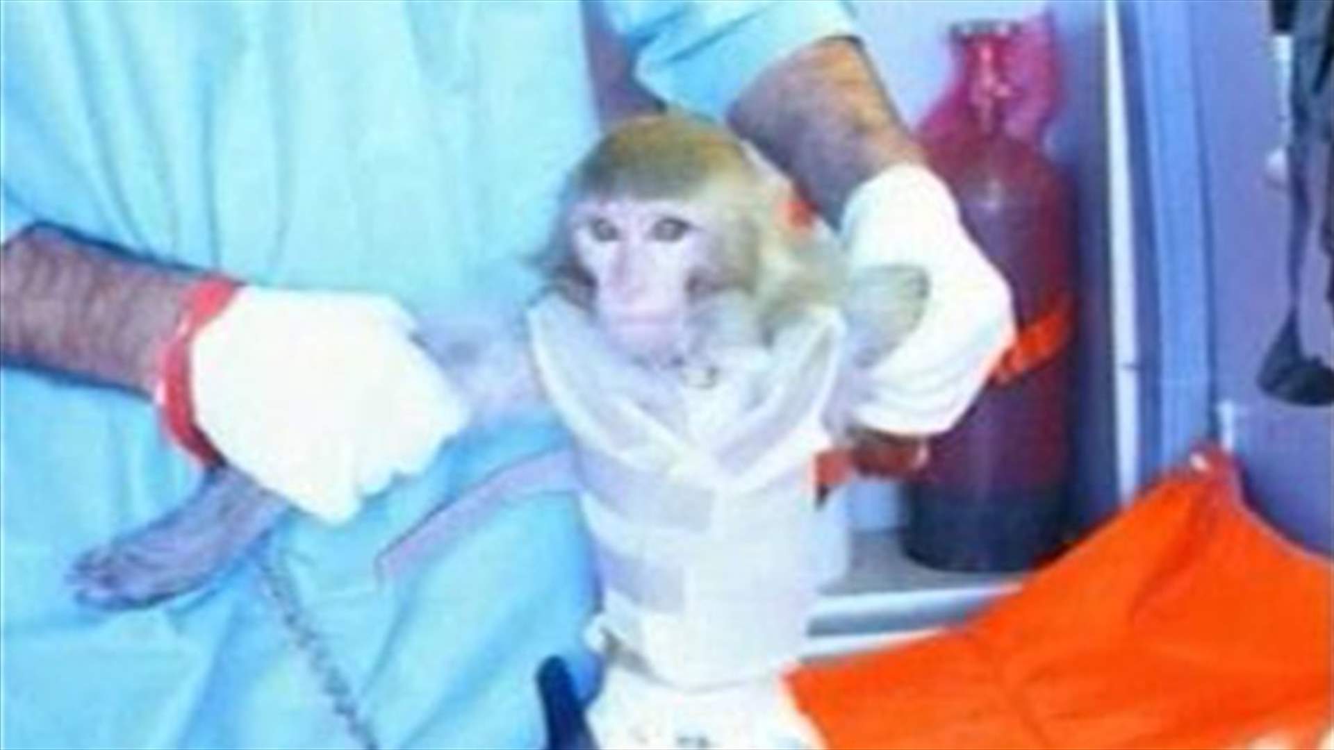 Iran successfully launches monkey into space