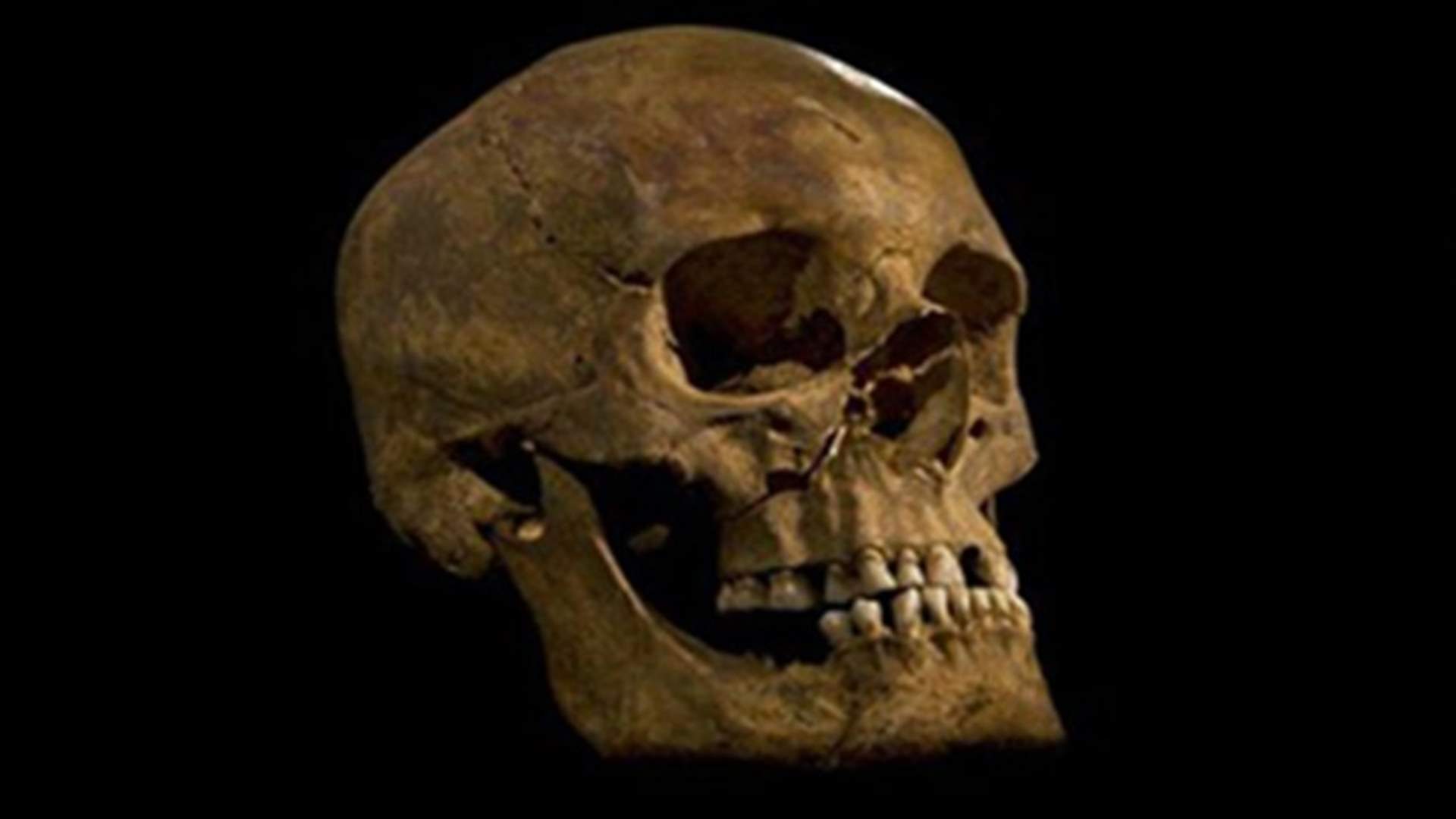 England's King Richard III found after 500 years