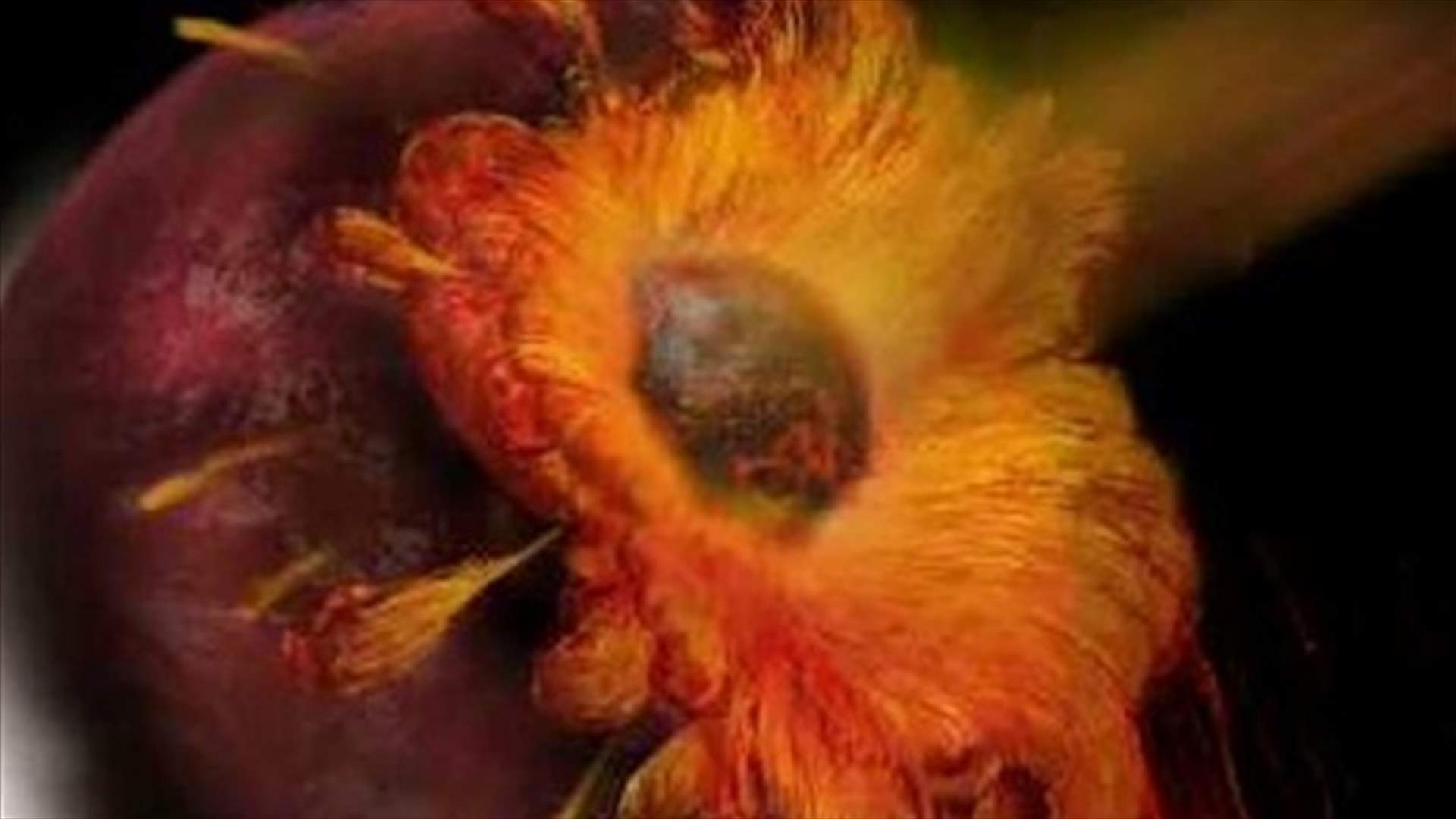 هل يصطدام الكويكب DA14 بالأرض نهاية الأسبوع؟