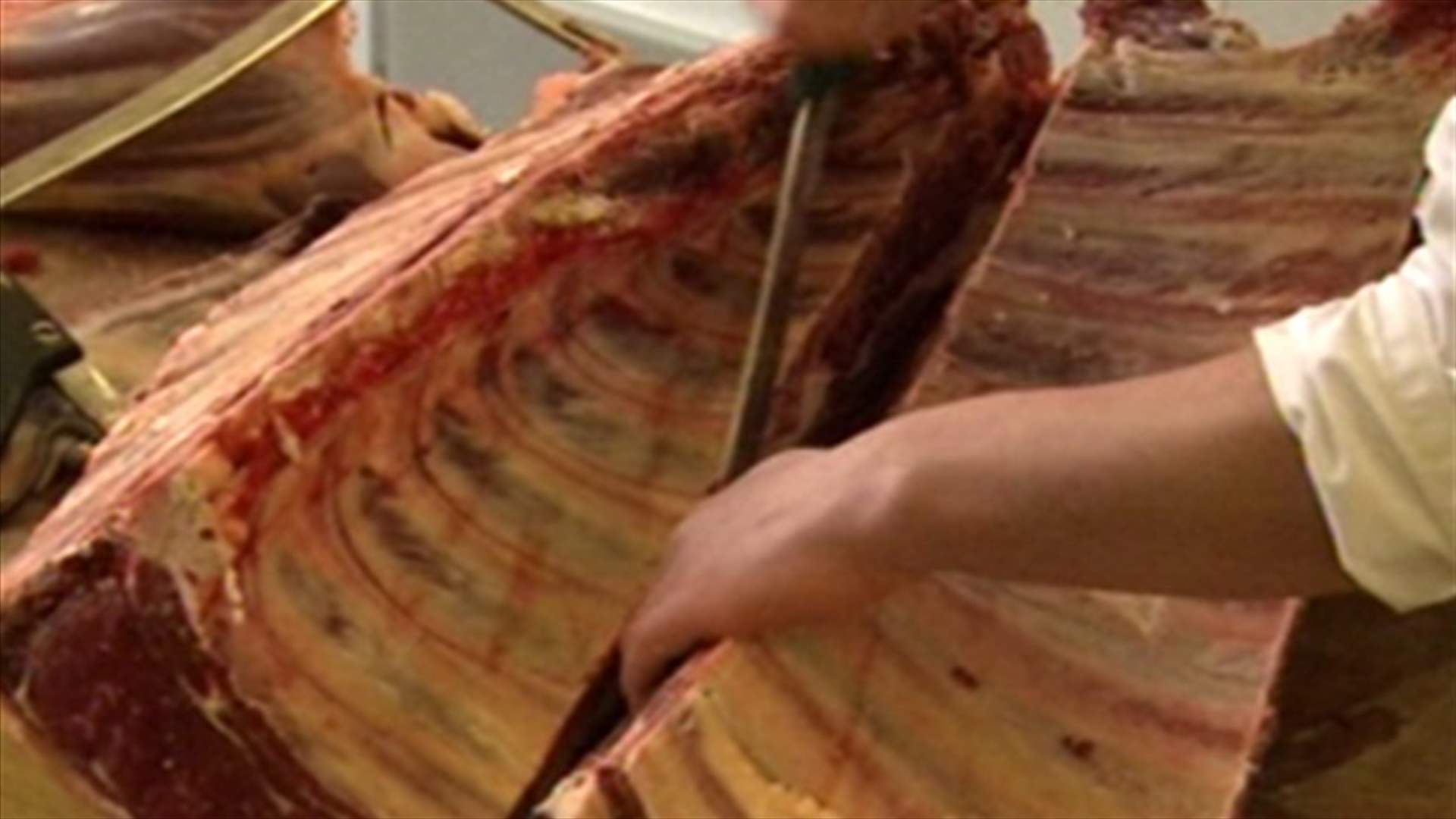 فضيحة لحم الخيول تصل إلى المانيا