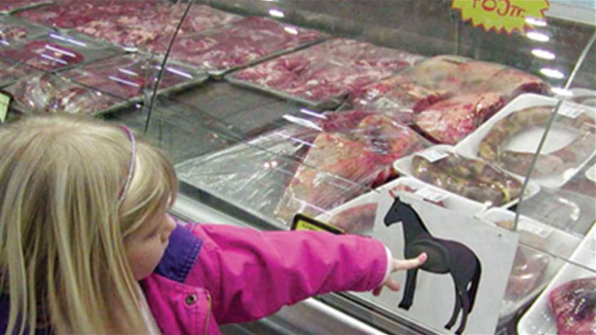 REPORT: Nestle finds horse meat in beef pasta meals