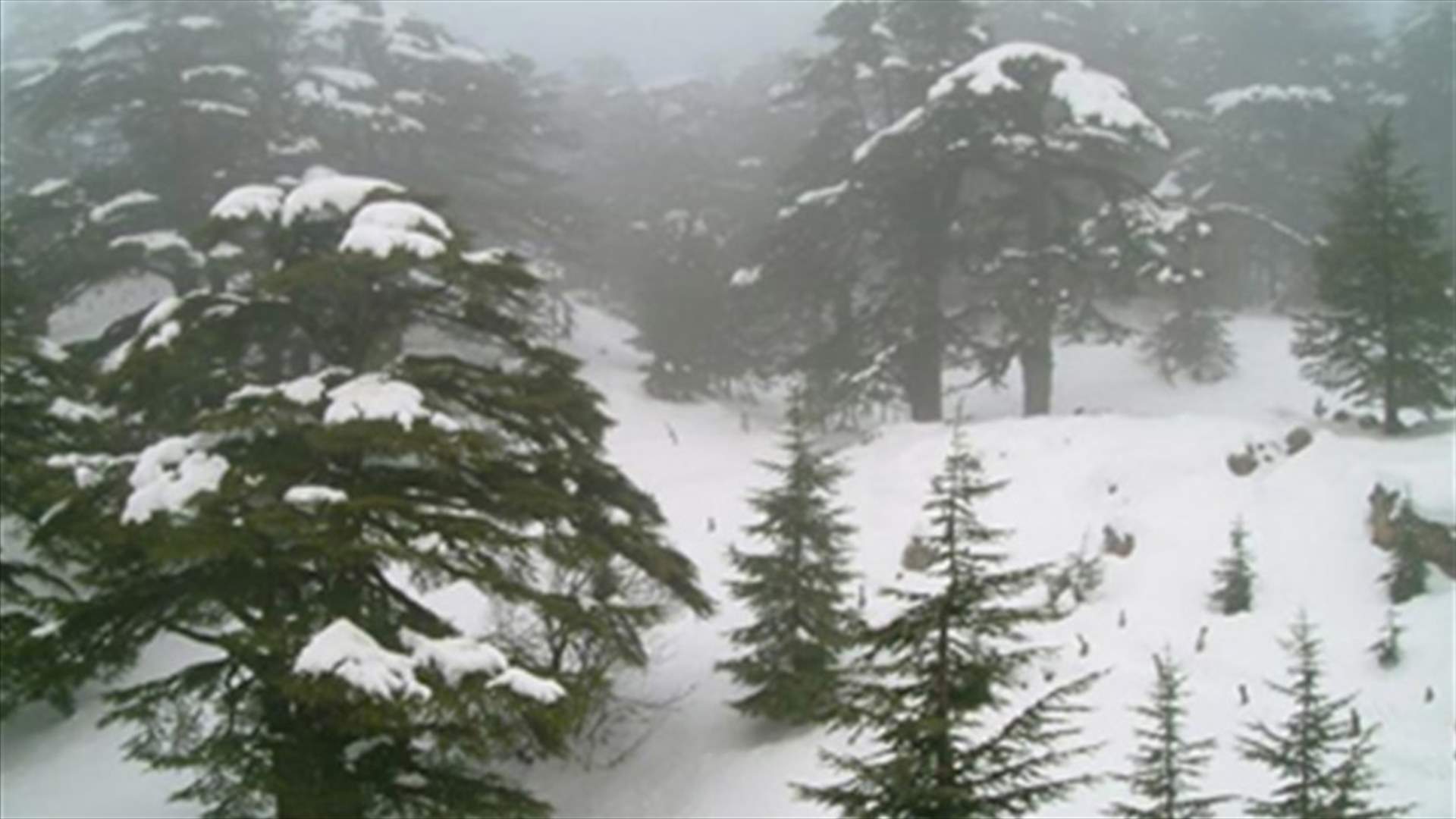 Snow avalanche in the Cedars leaves 1 dead, 3 injured