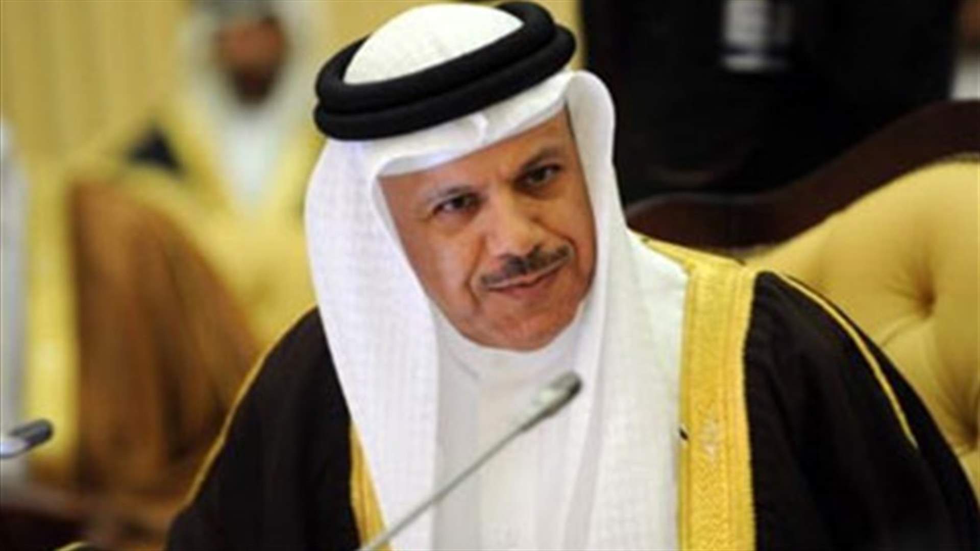 الزياني بعد لقائه سليمان: قلقون  من عدم الالتزام الكامل بإعلان بعبدا