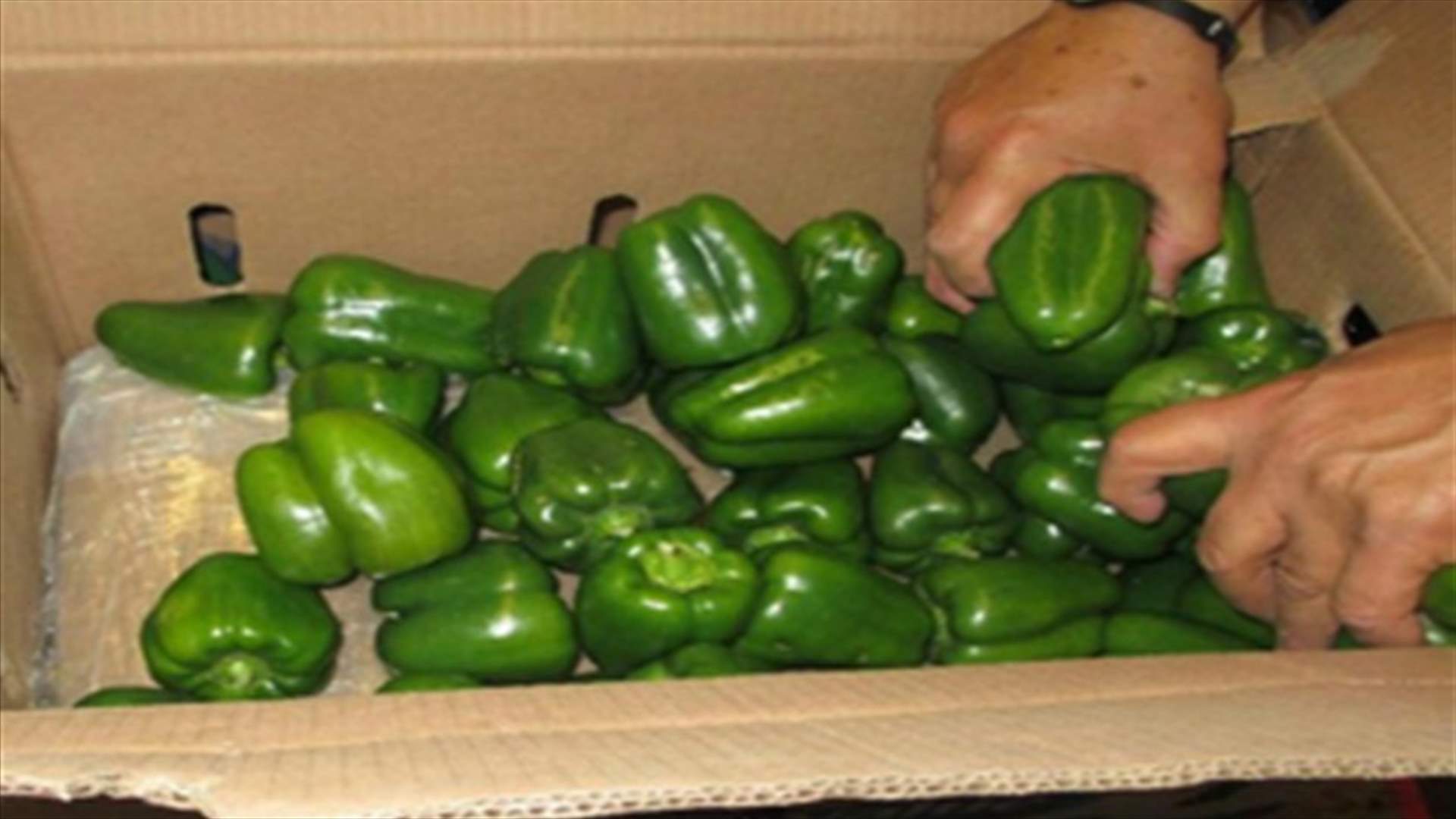 Marijuana stuffed bell peppers found inside package 