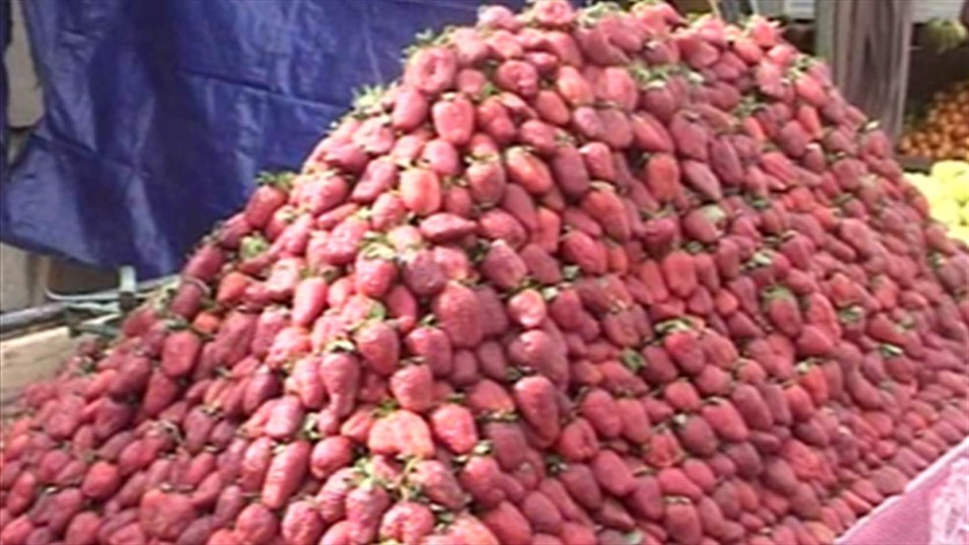 REPORT: Agricultural exportation at stake due to Syrian crisis