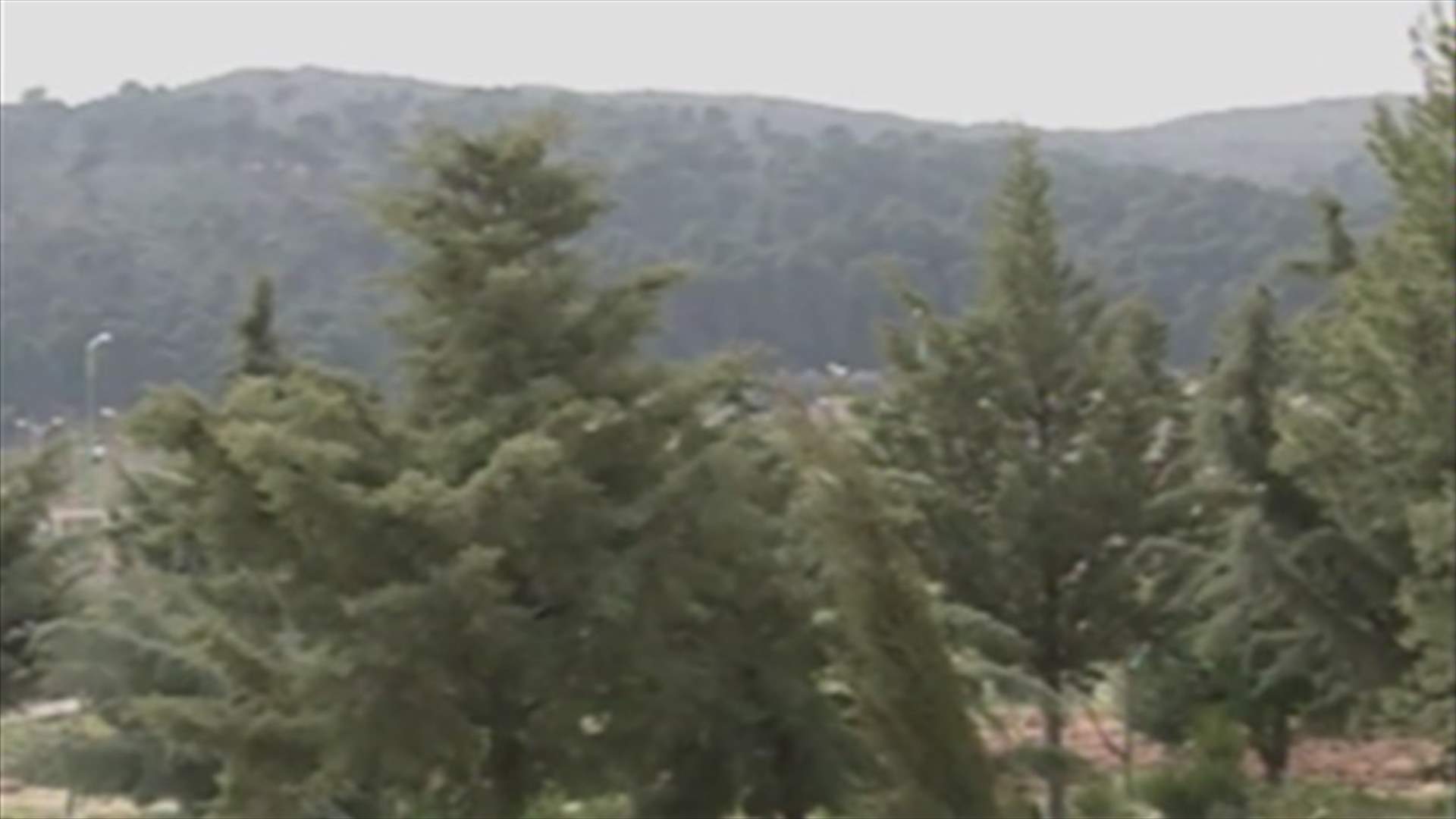 REPORT: Algeria hosts “Mediterranean Forest Week” for environmental awareness