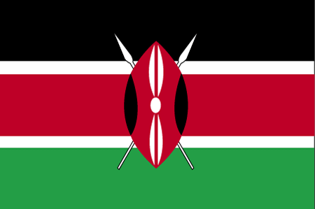 Grenade hits Nairobi club, 14 people wounded 