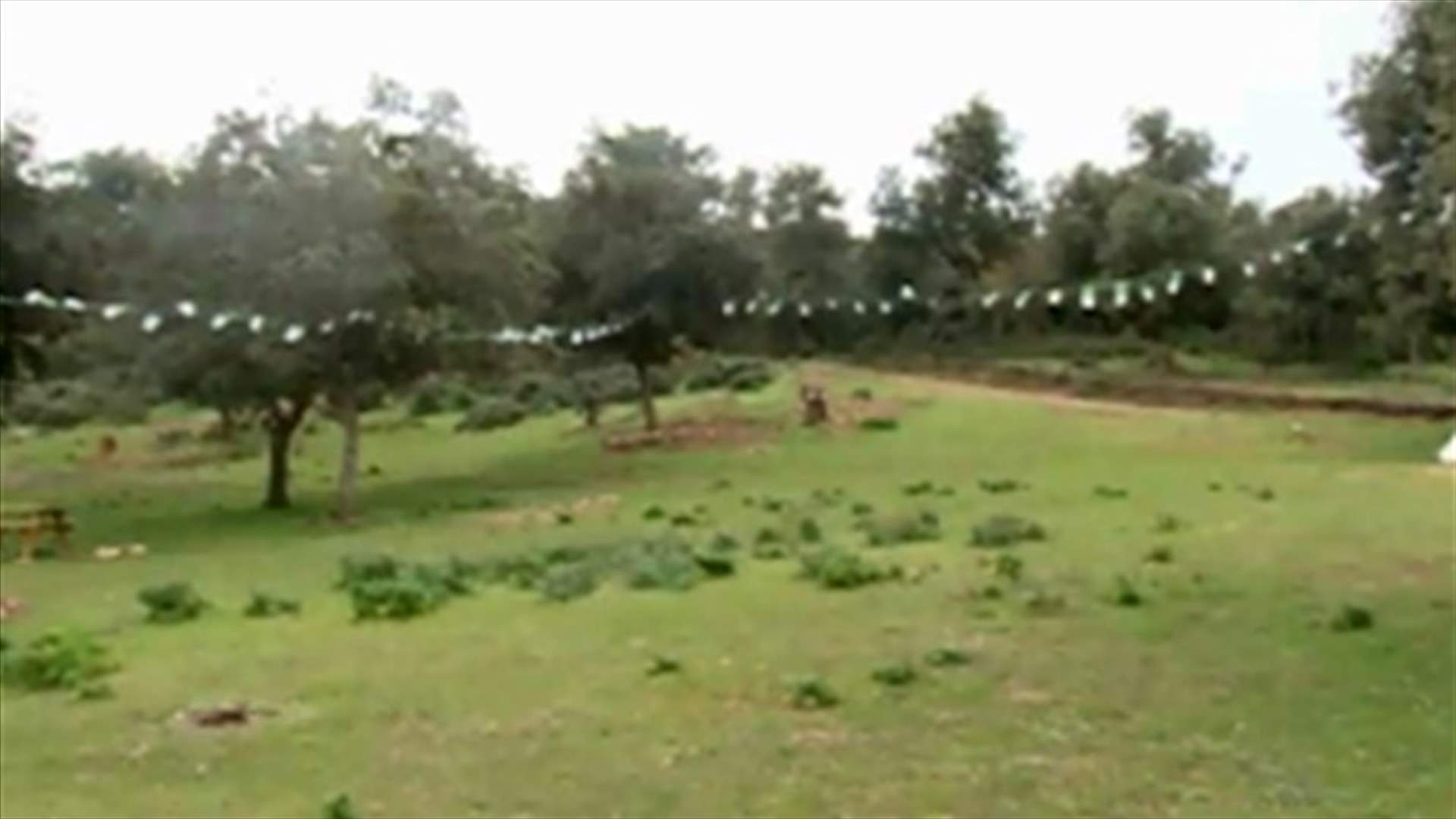 لبنان شارك في مؤتمر الغابات في الجزائر