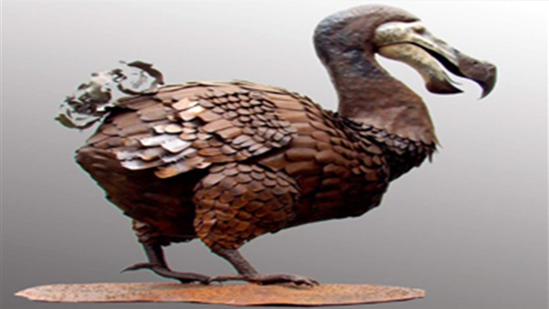 Going, going, gone - dodo bone up for sale in London