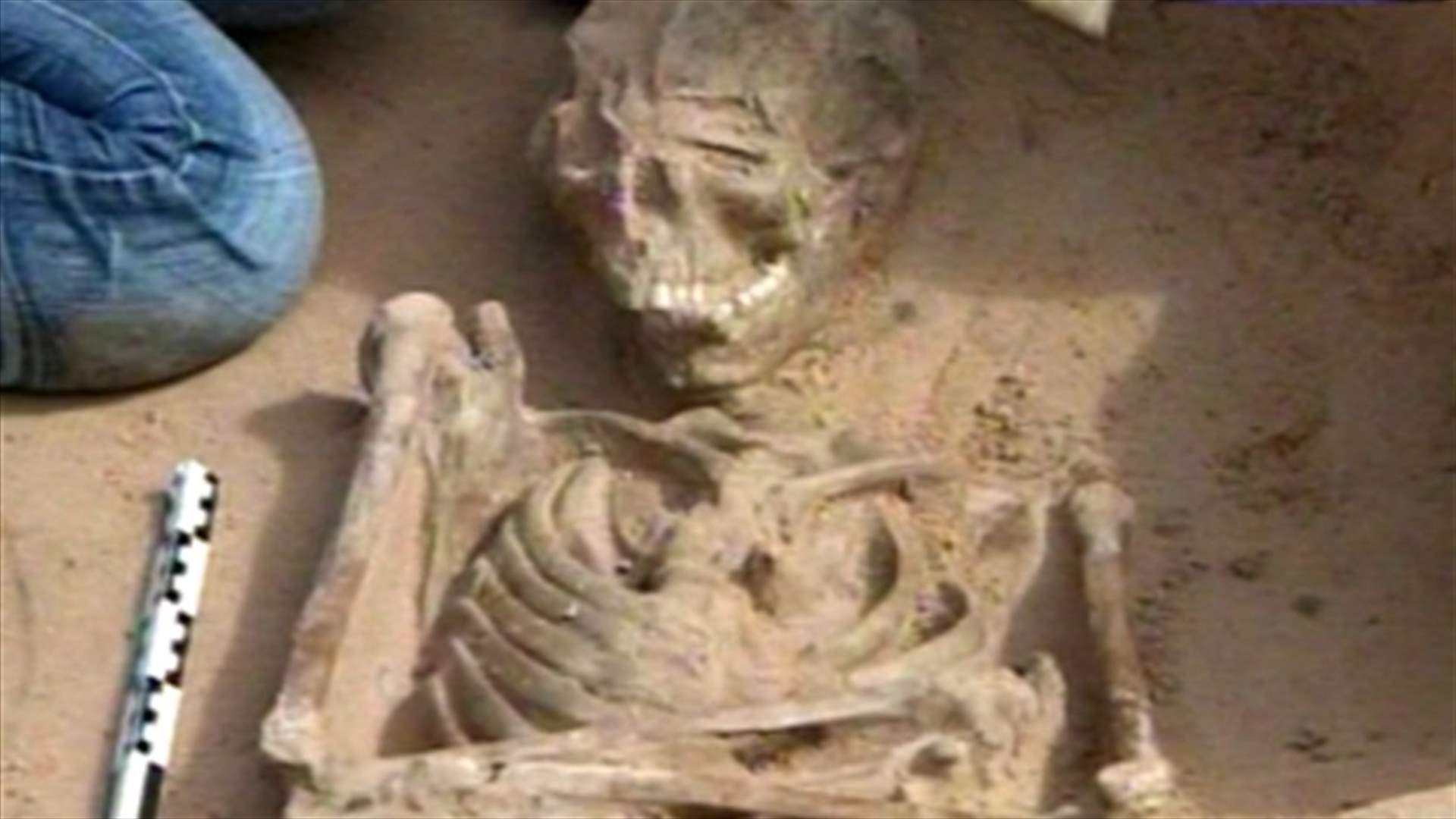بيكاسو ينقذ مدينة صور
