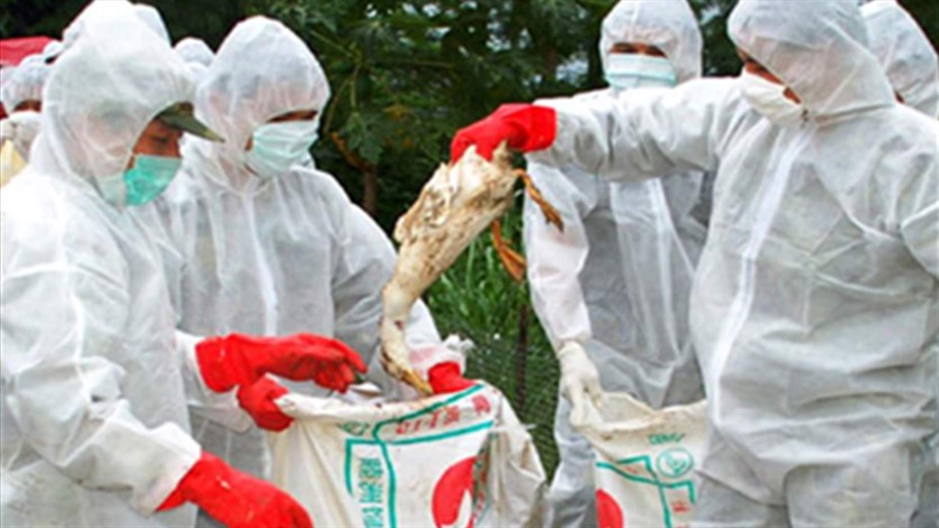 Two die in China from bird flu strain not previously seen in humans