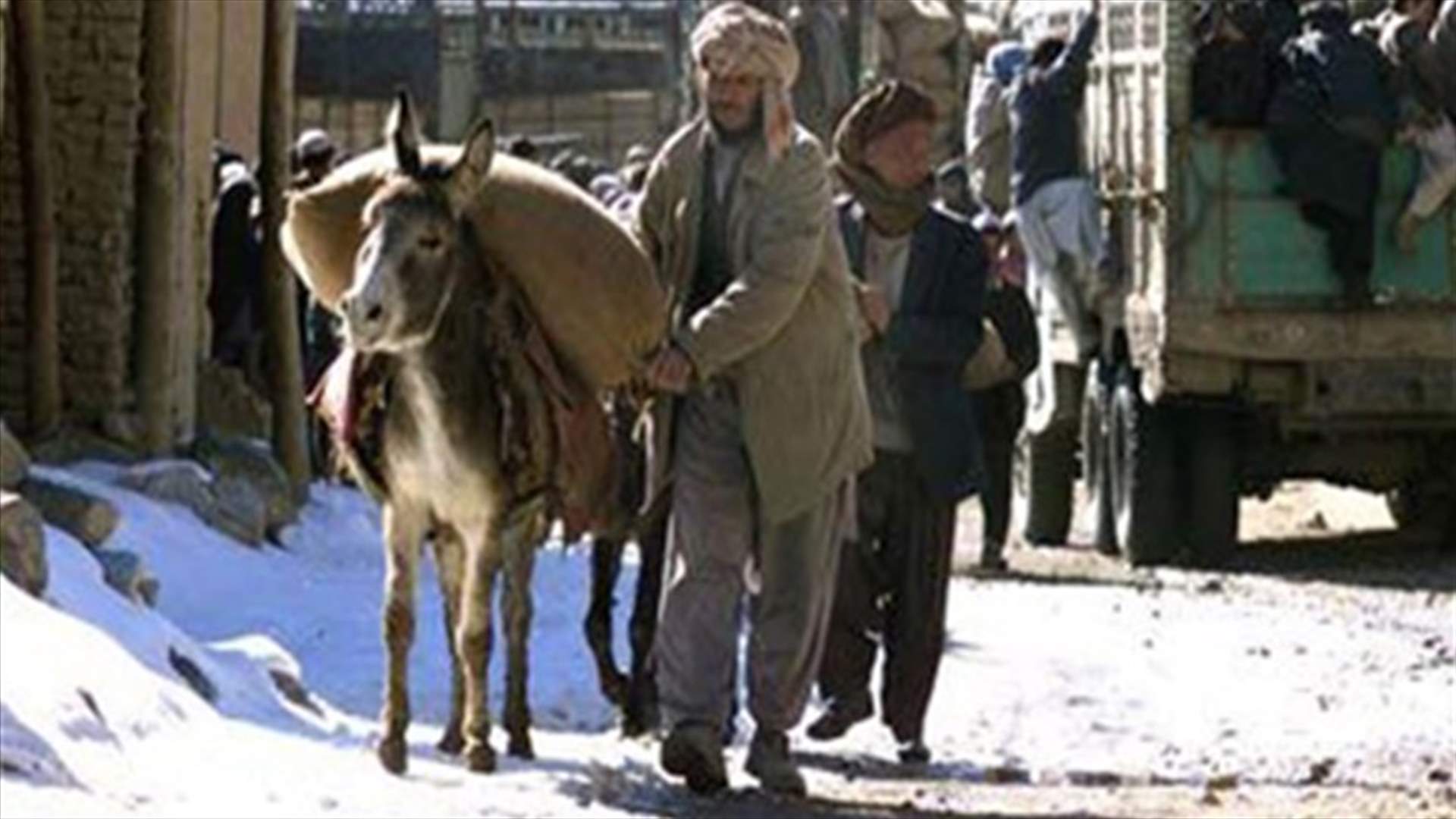 Afghan donkey bomb kills policeman in eastern province 
