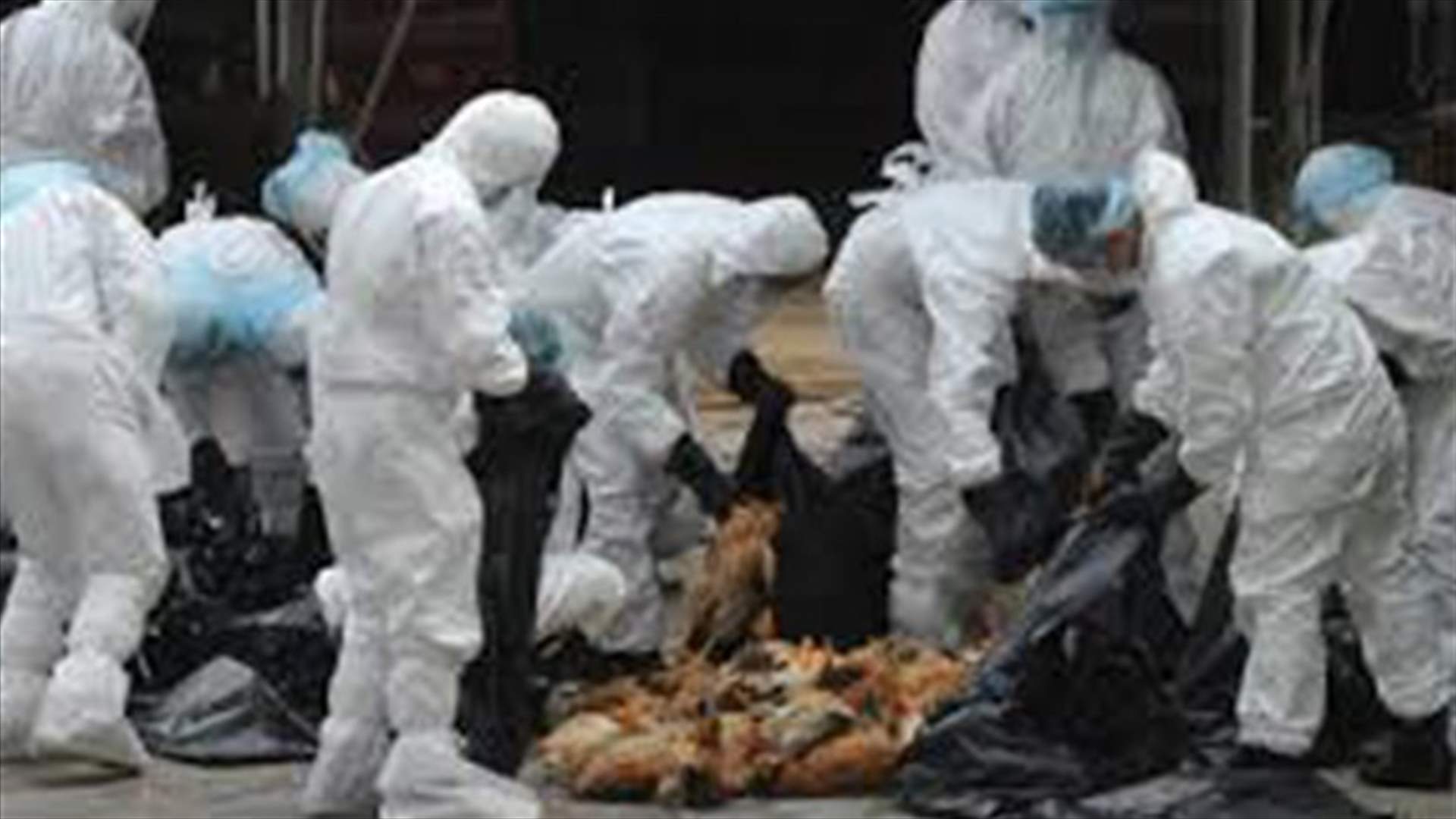 China bird flu virus found in more markets in Shanghai