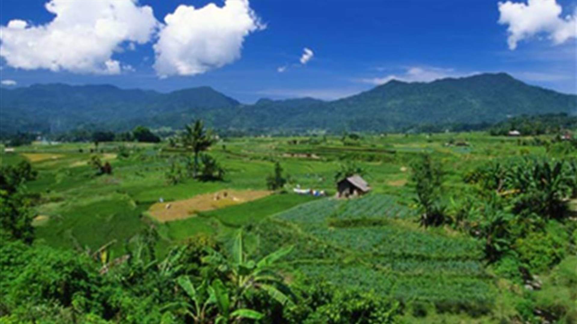 Earthquake measuring 7.2 magnitude strikes Irian Jaya, Indonesia   