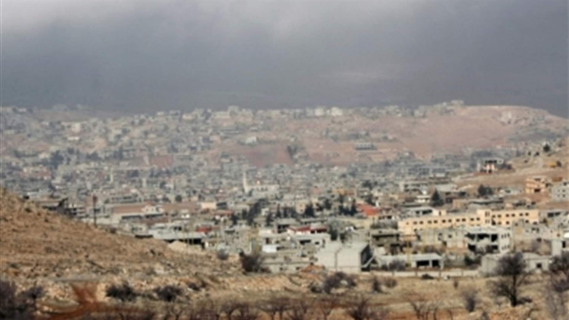 LAF arrest van carrying medium-sized weapons in Arsal