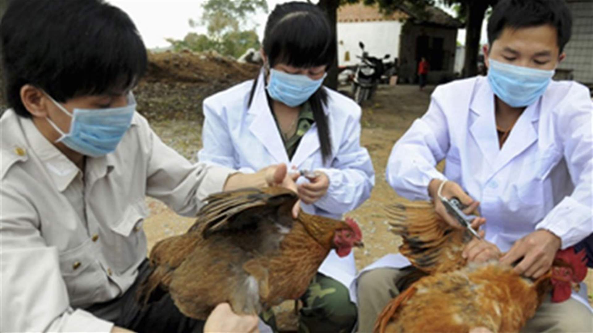 China’s bird flu cases increase to 20 resulting in 6 deaths