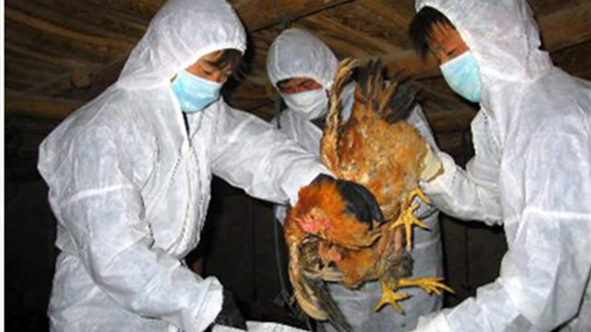 A new case in China adds unknowns to bird flu