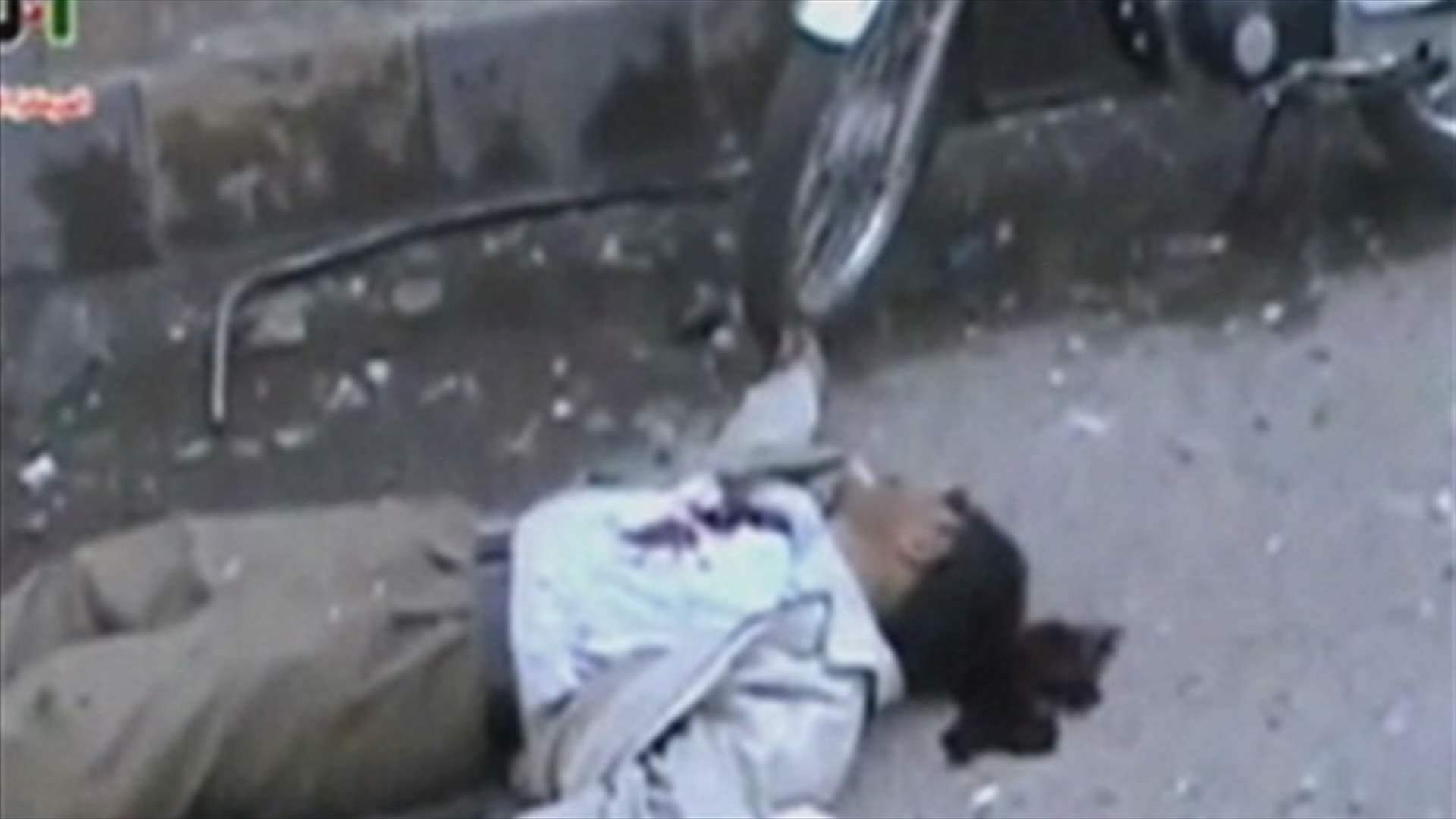 REPORT: Syrian opposition blames regime for Baniyas village deaths