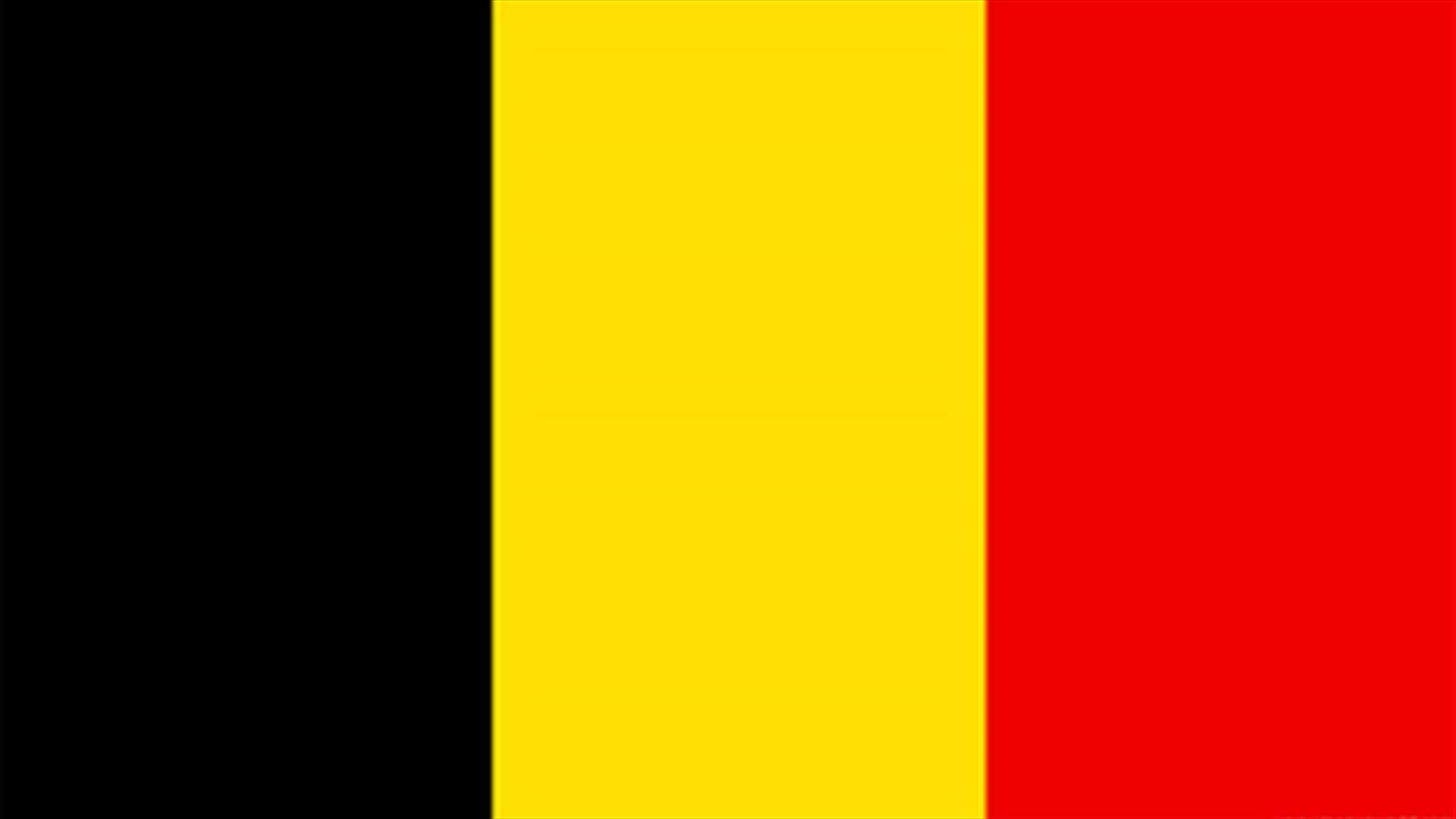 Police arrest 31 people over $50 mln Belgium diamond heist
